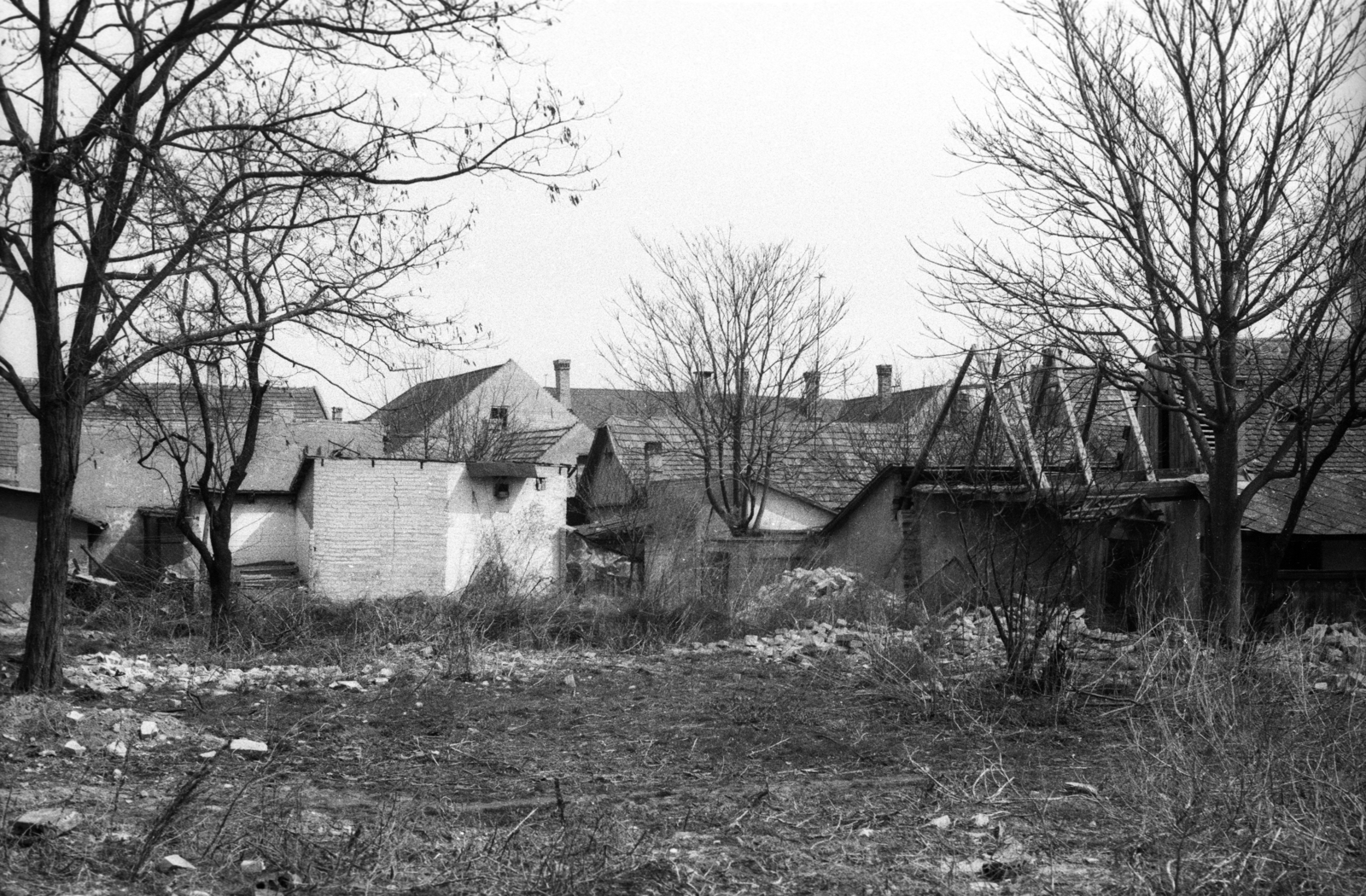 Hungary, Kiskunhalas, 1980, Slachta Krisztina, vacant land, Fortepan #118579