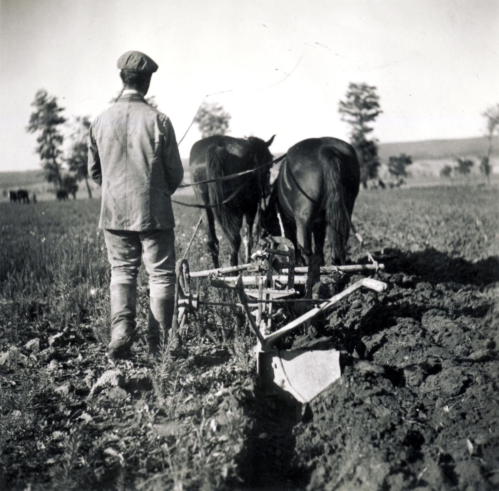 1938, Uj Nemzedék napilap, coach, tillage, Fortepan #118679
