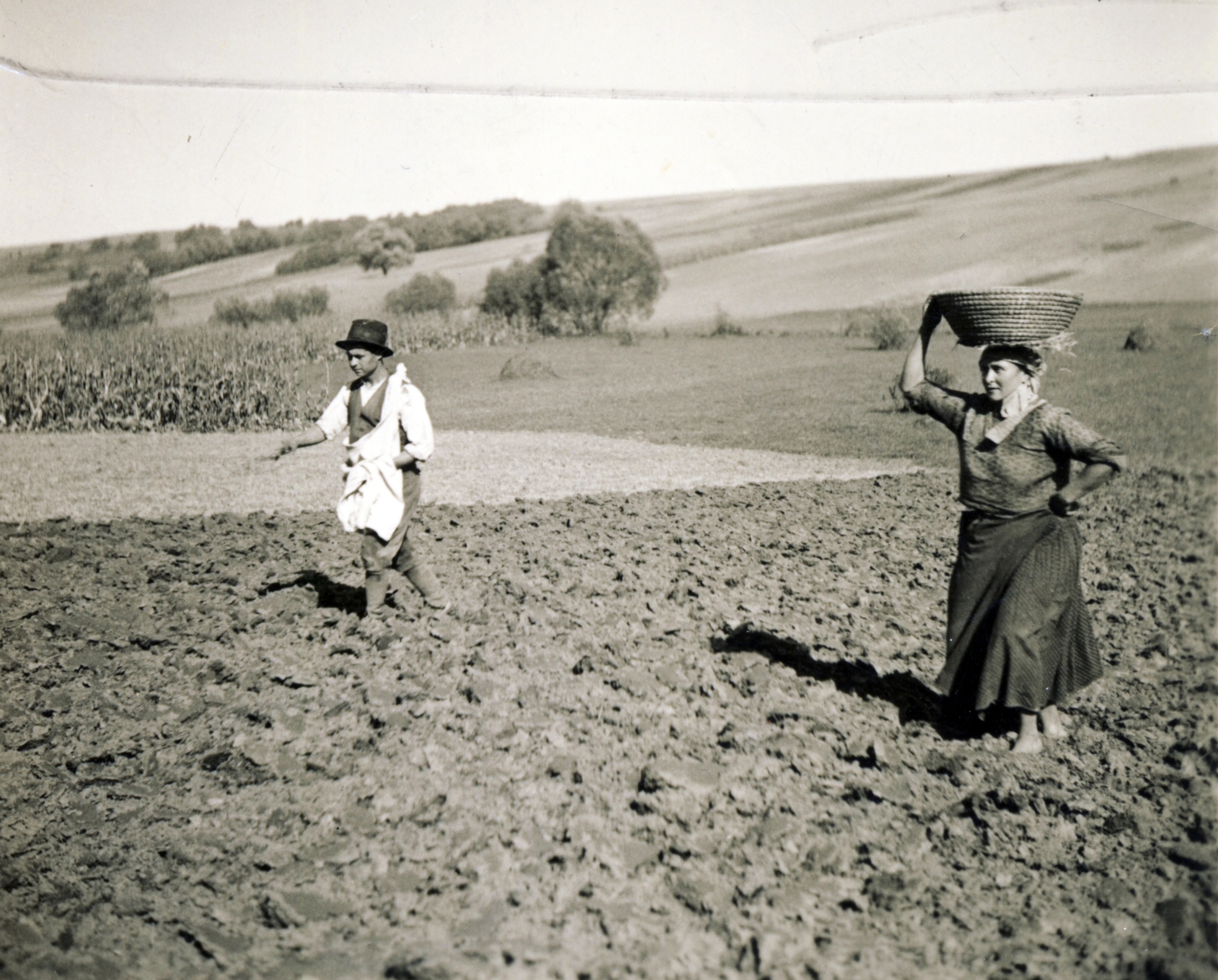 1938, Uj Nemzedék napilap, vetés, Fortepan #118715