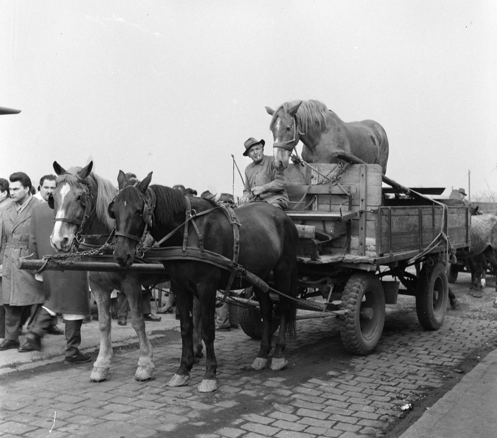 1957, FSZEK Budapest Gyűjtemény / Sándor György, Sándor György, lovaskocsi, Fortepan #118930