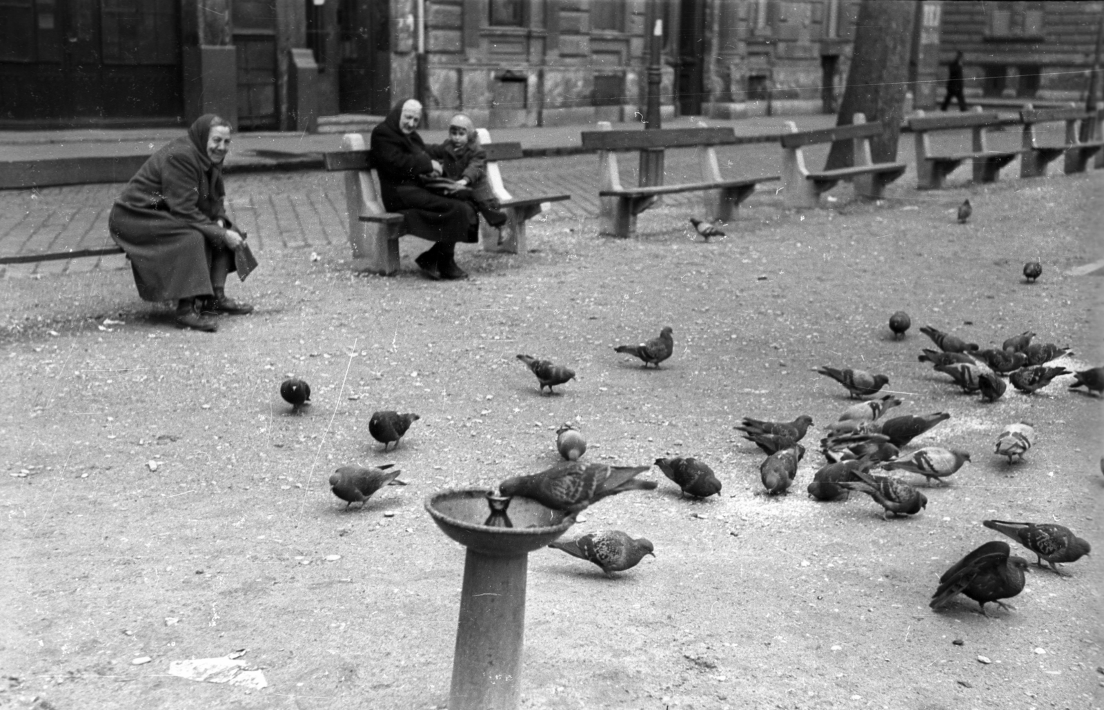 Hungary, Budapest VI., Lövölde tér, jobbra a Felső erdősor., 1960, FSZEK Budapest Gyűjtemény / Sándor György, Sándor György, dove, drinking fountain, Budapest, Fortepan #118996