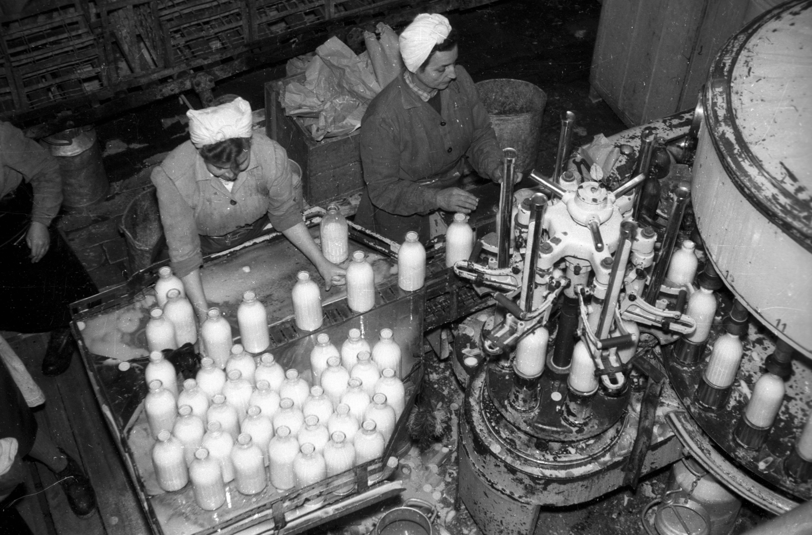 Hungary, Budapest VIII., Kálvária utca 23., a Budapest és Vidéke Tejipari Vállalat Erzsé­betvárosi telepének Üzeme, tejpalackozó., 1958, FSZEK Budapest Gyűjtemény / Sándor György, Sándor György, Budapest, Fortepan #119057