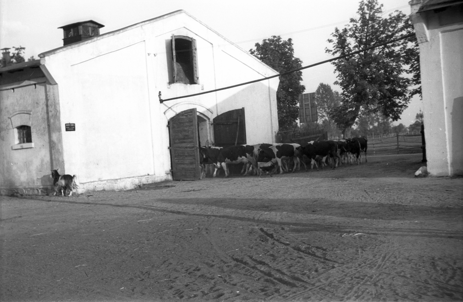 Lengyelország, Skierniewice, 1943, Bogdan Celichowski, Fortepan #119212