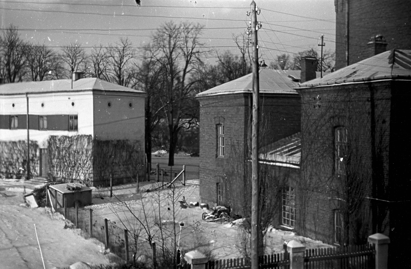 Poland, Skierniewice, ulica Konstytucji 3-go Maja 1/3., Kertészeti Kutatóintézet (Instytut Ogrodnictwa)., 1943, Bogdan Celichowski, Fortepan #119340
