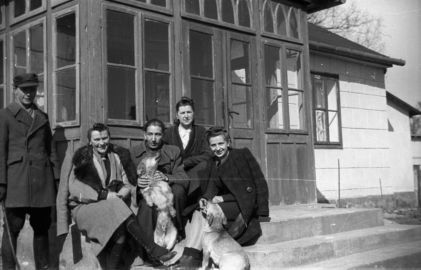 Poland, 1943, Bogdan Celichowski, dog, tableau, sitting on stairs, Fortepan #119344