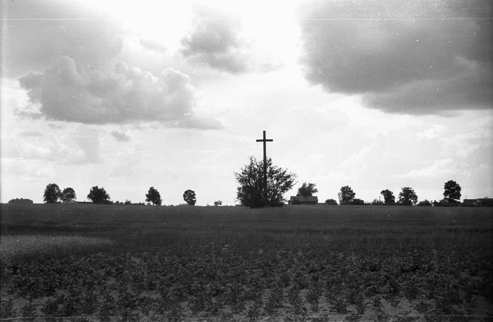 Poland, 1943, Bogdan Celichowski, Fortepan #119366