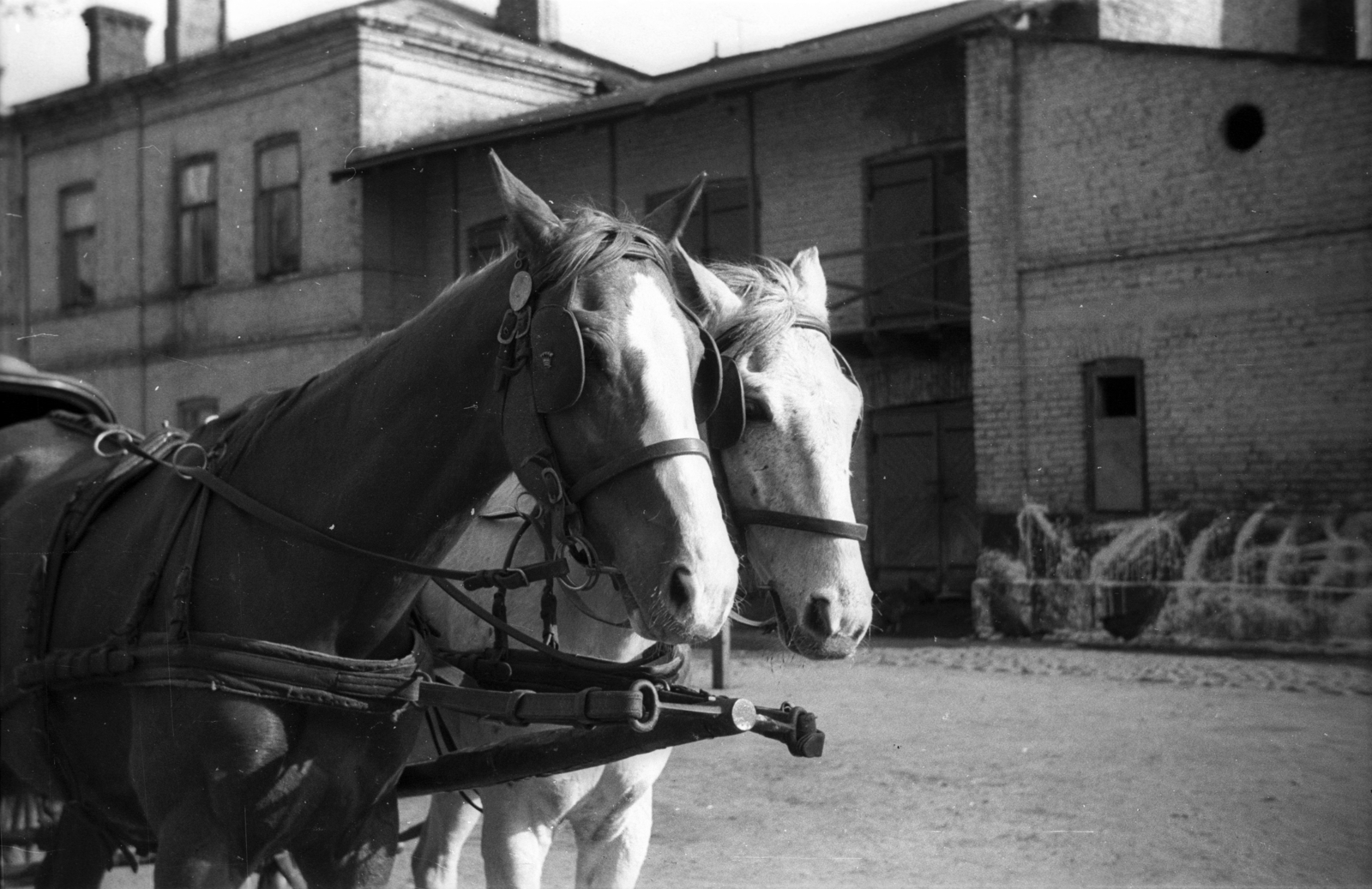Poland, Skierniewice, ulica Henryka Sienkiewicza 16., Babel udvar (podwórko Bąbla)., 1943, Bogdan Celichowski, Fortepan #119381