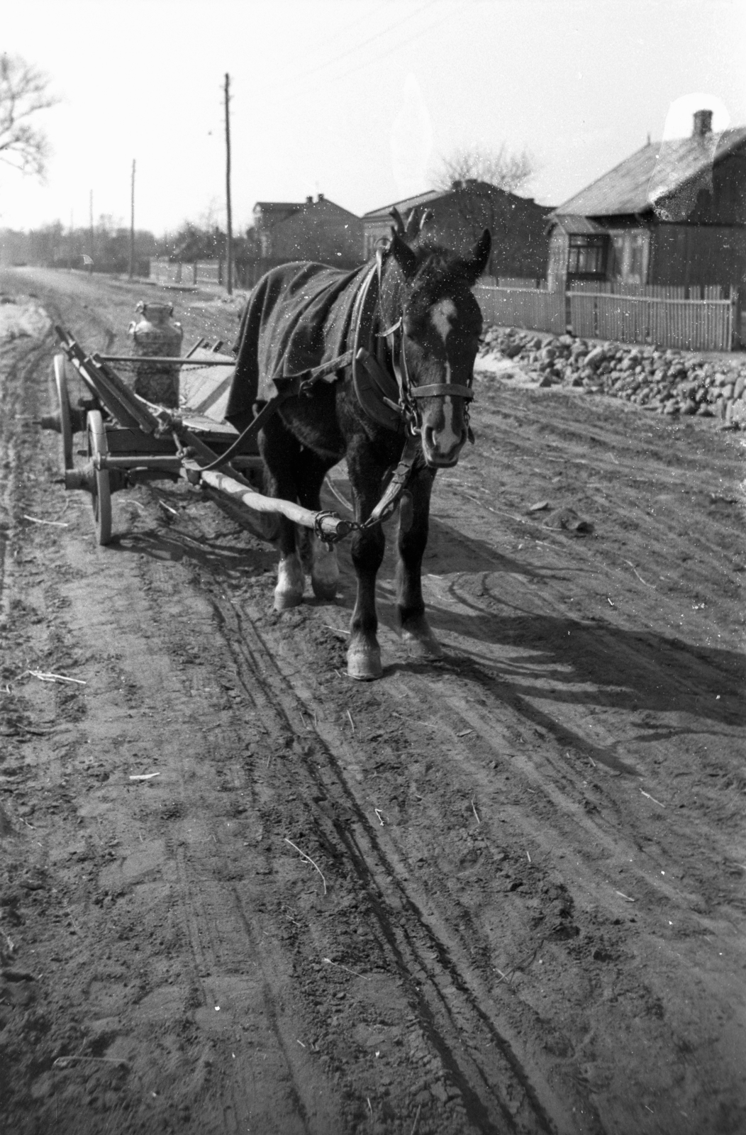 Lengyelország, Skierniewice, ulica Sklodowska (ekkor ulica Bolimowska)., 1947, Bogdan Celichowski, szekér, földút, tejeskanna, ló, Fortepan #119456