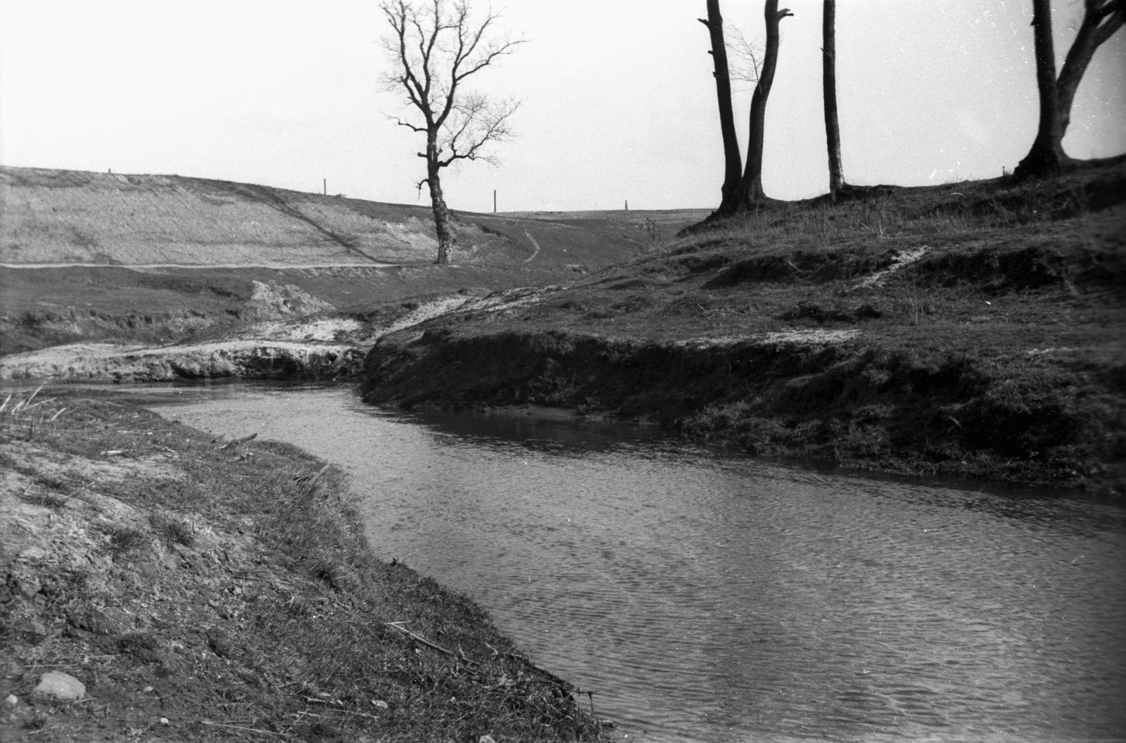 Poland, Skierniewice, Skierniewka / Lupia folyó., 1947, Bogdan Celichowski, shore, Fortepan #119458