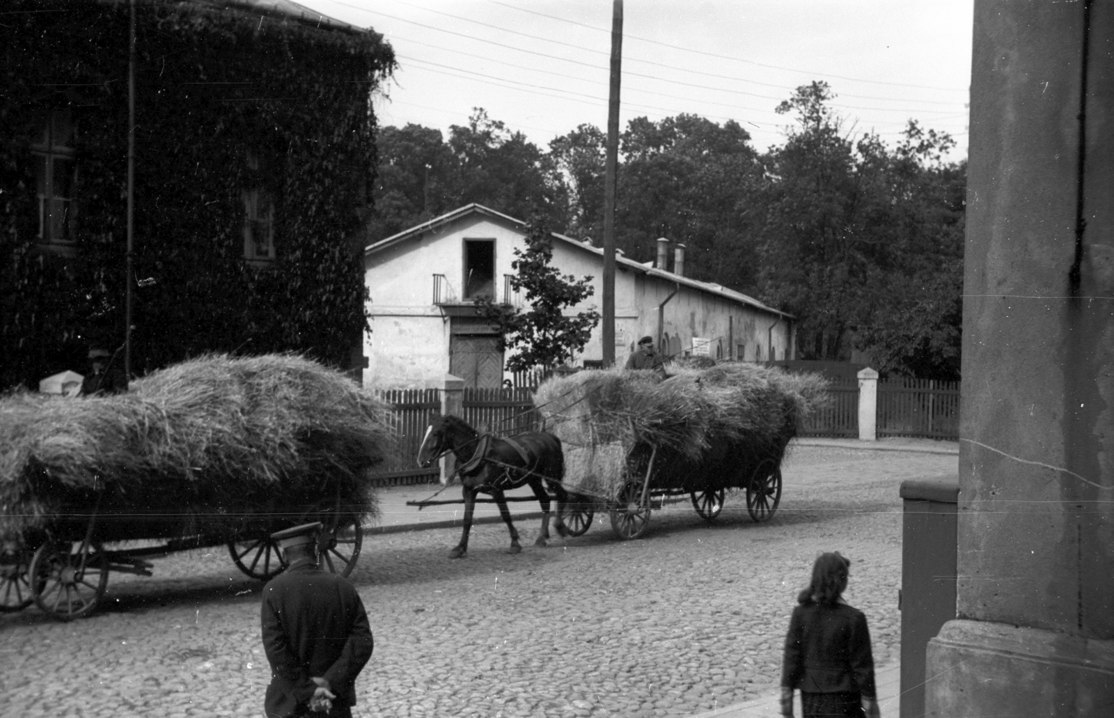 Poland, Skierniewice, ulica Konstytucji 3-go Maja 1/3., a felvétel a Kertészeti Kutatóintézet (Instytut Ogrodnictwa) előtt készült., 1943, Bogdan Celichowski, Fortepan #119592