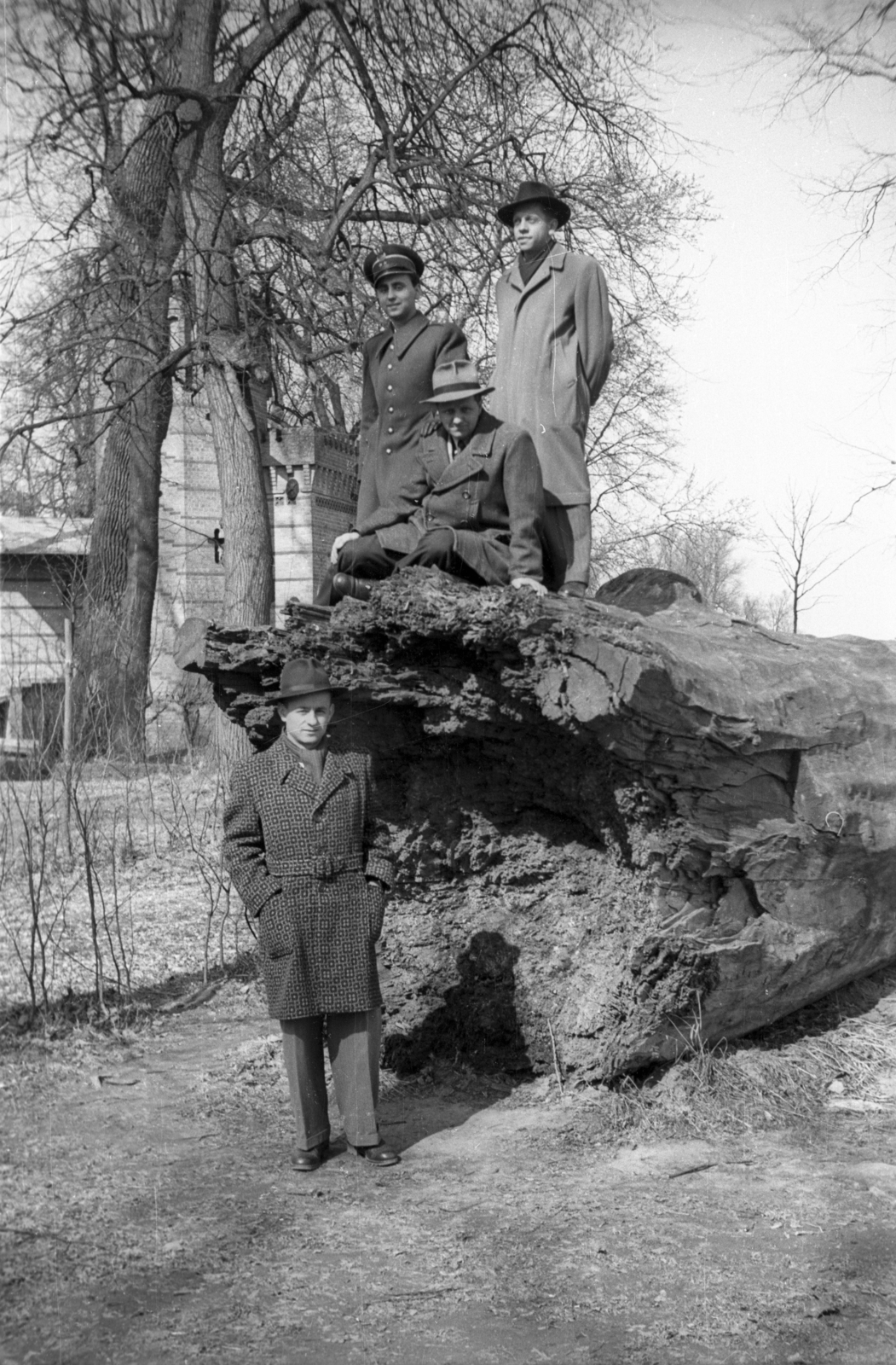 1955, Bogdan Celichowski, tree trunk, men, Fortepan #119640