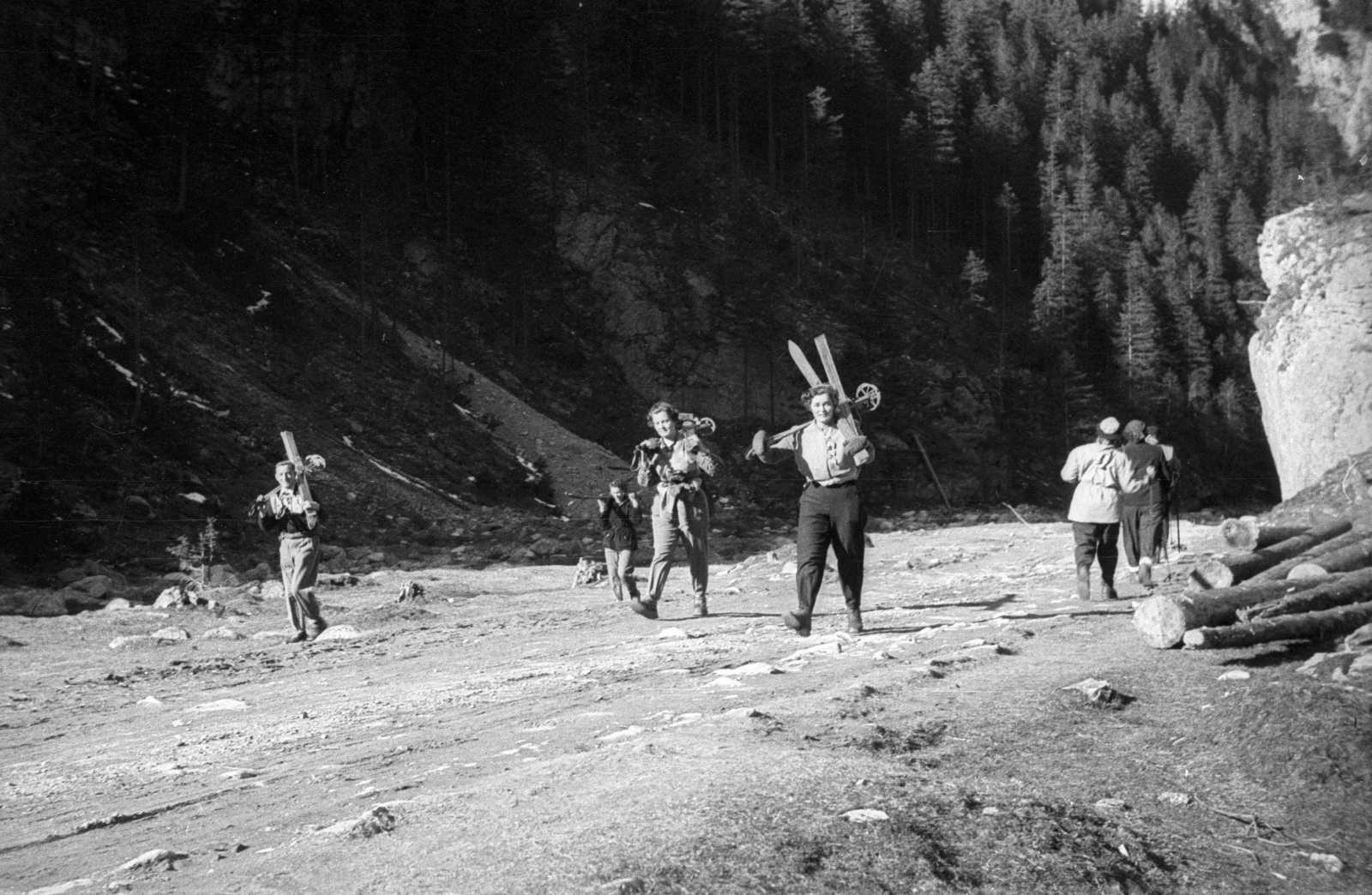 Poland, 1950, Bogdan Celichowski, pine forest, ski pole, carrying on the shoulder, skiing, hillside, Fortepan #119705