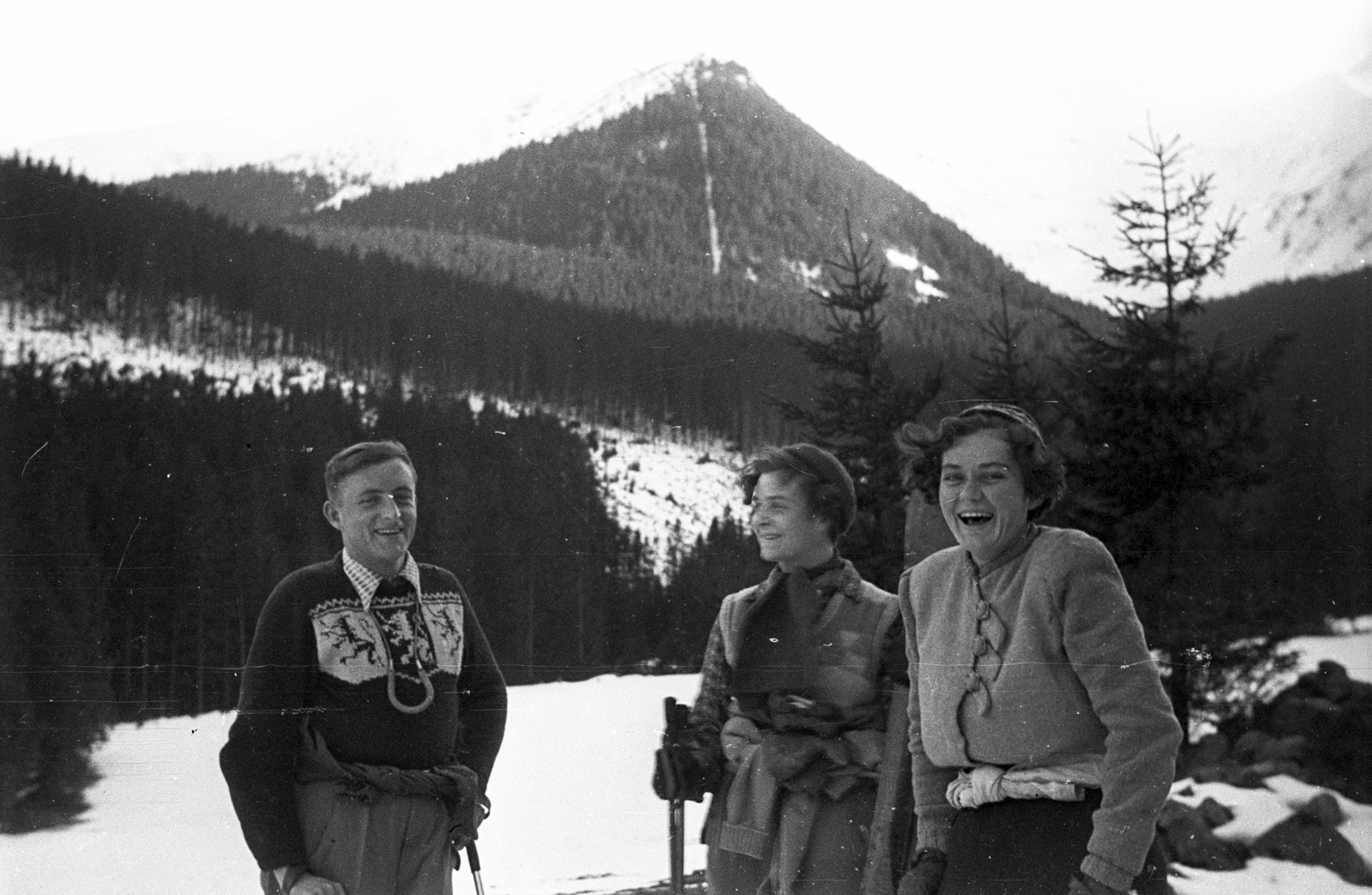 Poland, 1950, Bogdan Celichowski, mountain, tourist, pine forest, snowy landscape, Fortepan #119711