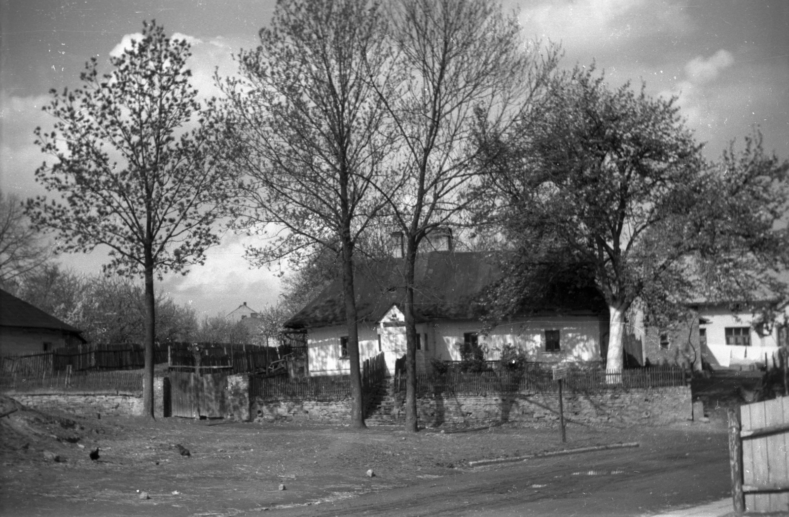 Lengyelország, 1947, Bogdan Celichowski, ház, fa, Fortepan #119738