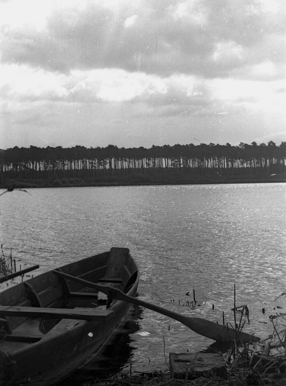 Lengyelország, 1947, Bogdan Celichowski, csónak, evező, erdő, Fortepan #119834