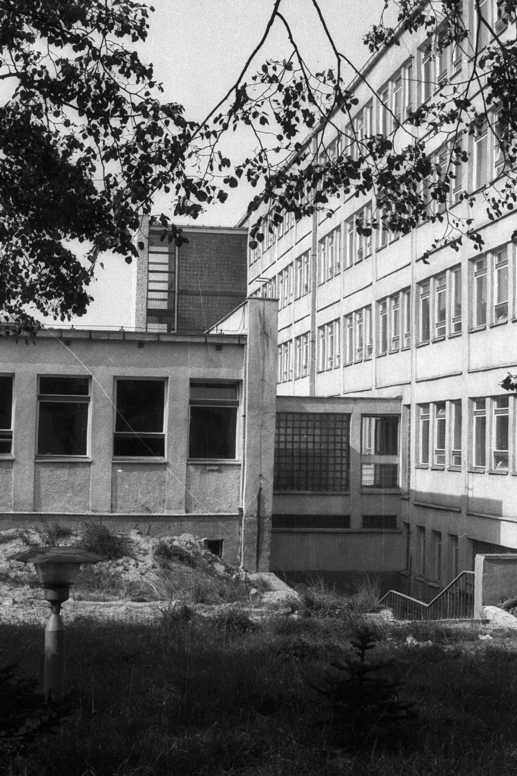 Lengyelország, Poznań, ulica Grunwaldzka 250., Állatorvosi Intézet., 1972, Bogdan Celichowski, Fortepan #119975