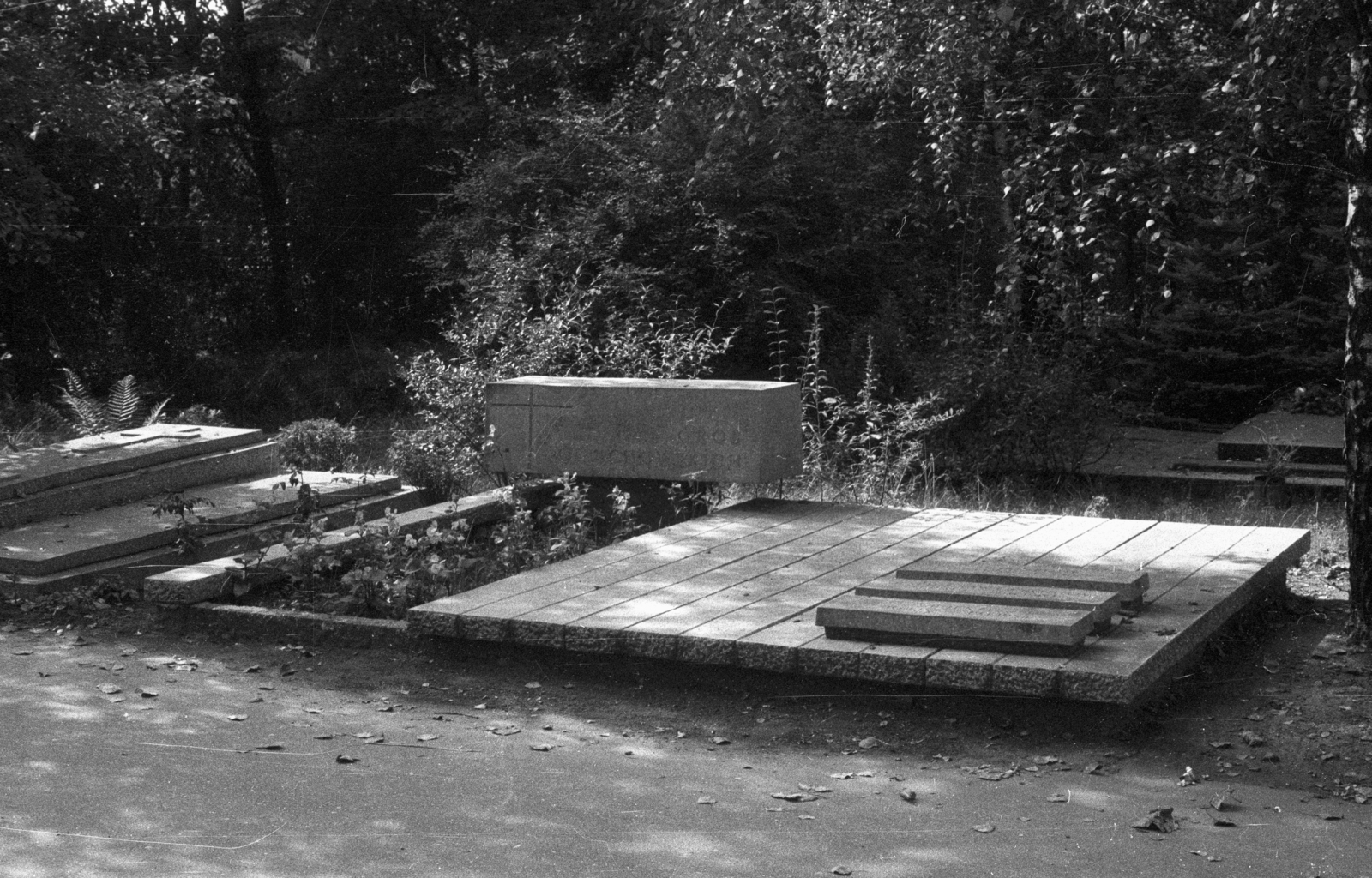 Poland, Poznań, ulica Grunwaldzka, Junikowo temető., 1972, Bogdan Celichowski, tombstone, Fortepan #119976