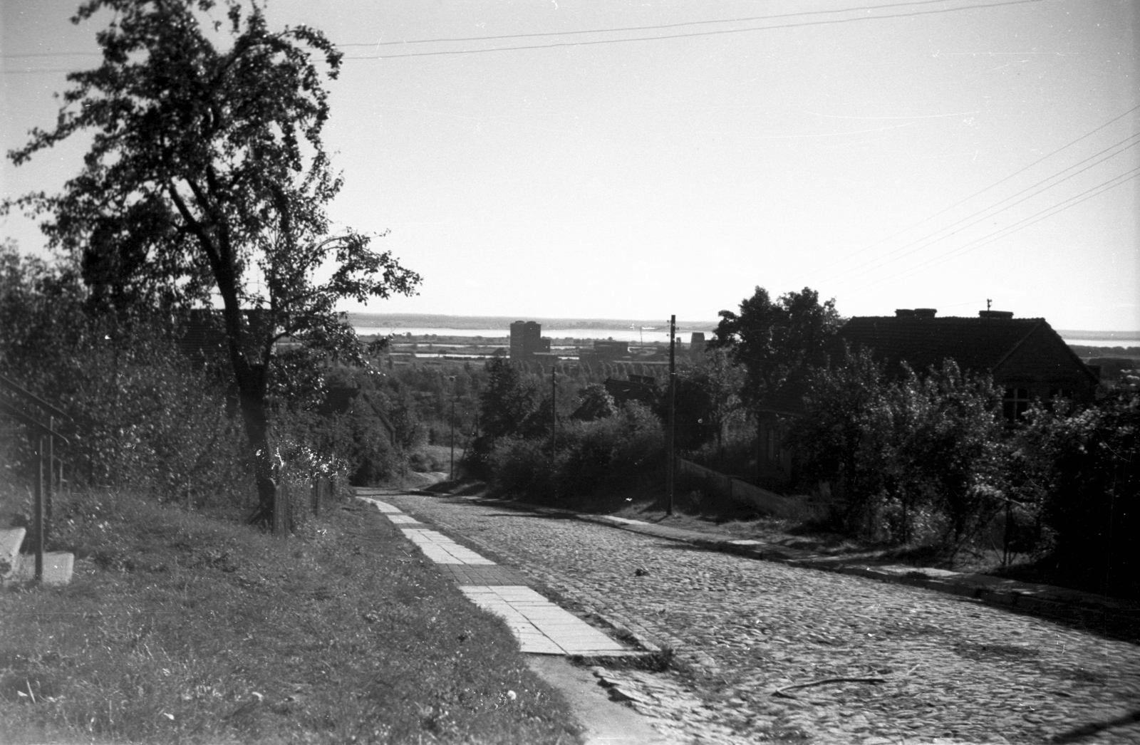 Poland, 1947, Bogdan Celichowski, picture, Fortepan #120159