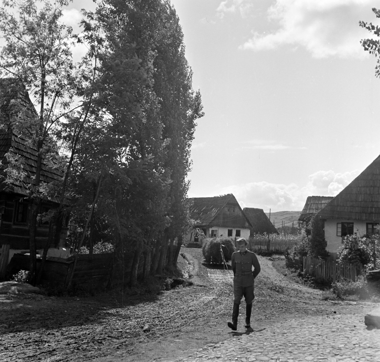 1939, Dienes Balázs, shingle, farmhouse, Fortepan #120279