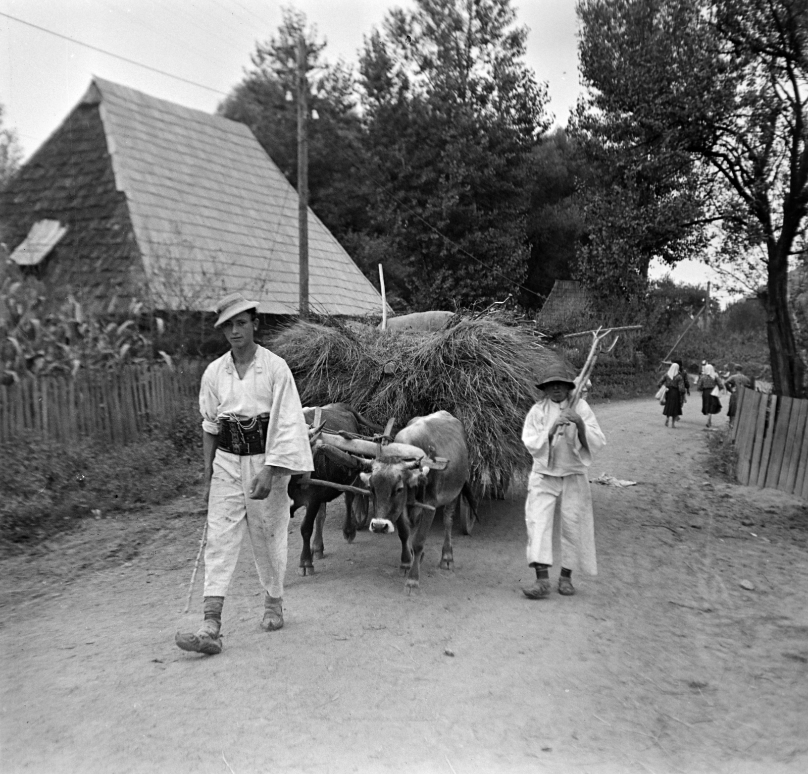 1939, Dienes Balázs, folk costume, hackery, Fortepan #120285