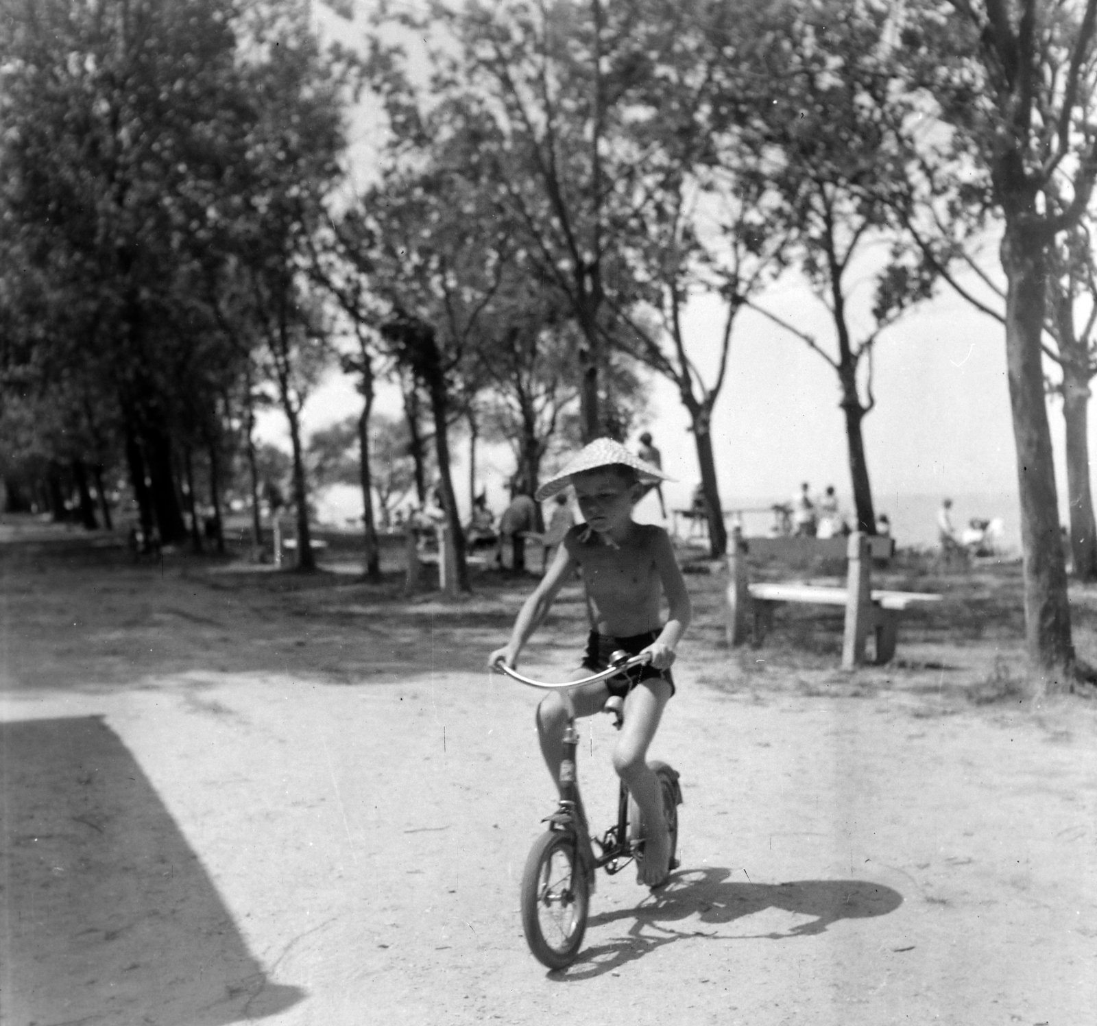 Magyarország,Balaton, 1962, Dienes Balázs, kerékpár, fasor, kisfiú, Fortepan #120339