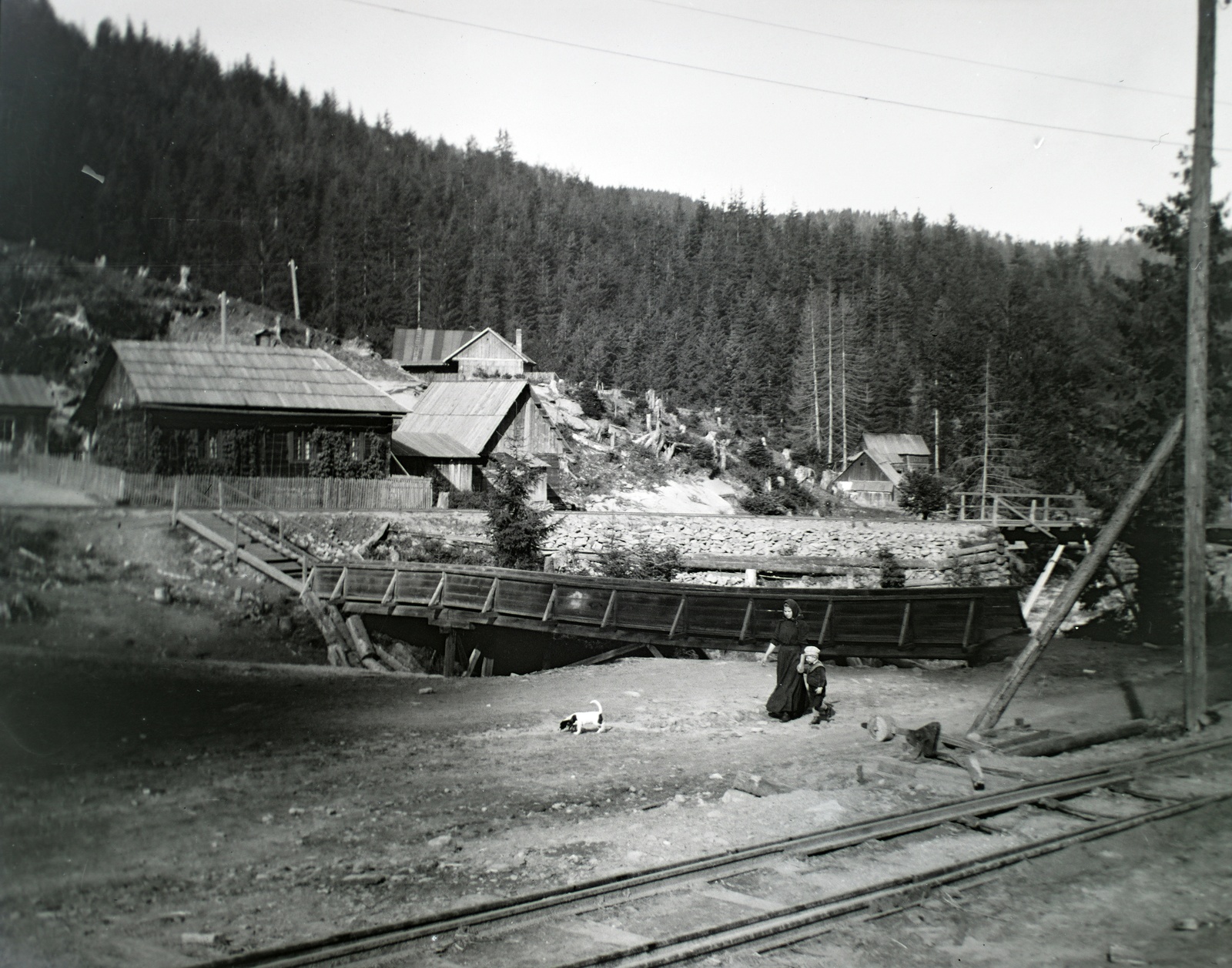 1917, Hanser Mária, fahíd, Fortepan #120446