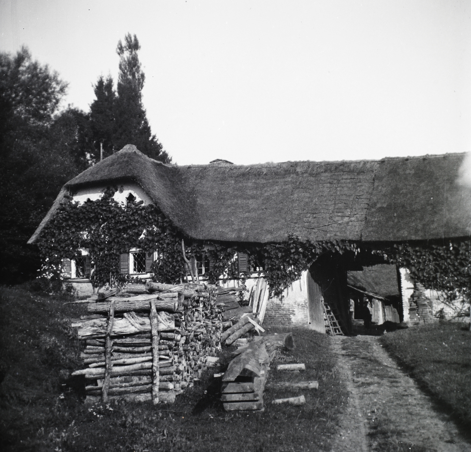 1928, Hanser Mária, farmhouse, Fortepan #120496