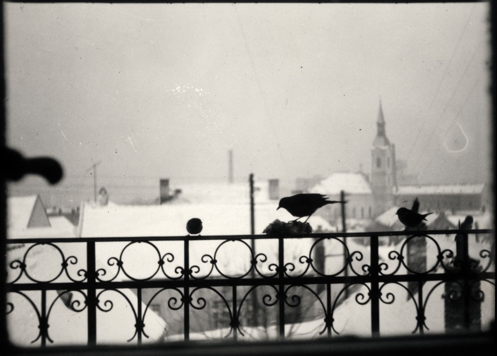 Hungary, Budapest II., kilátás a Daru utca 10. számú házból az Újlaki templom felé, előtérben keresztben a Daru utca., 1942, Hanser Mária, Budapest, Fortepan #120592