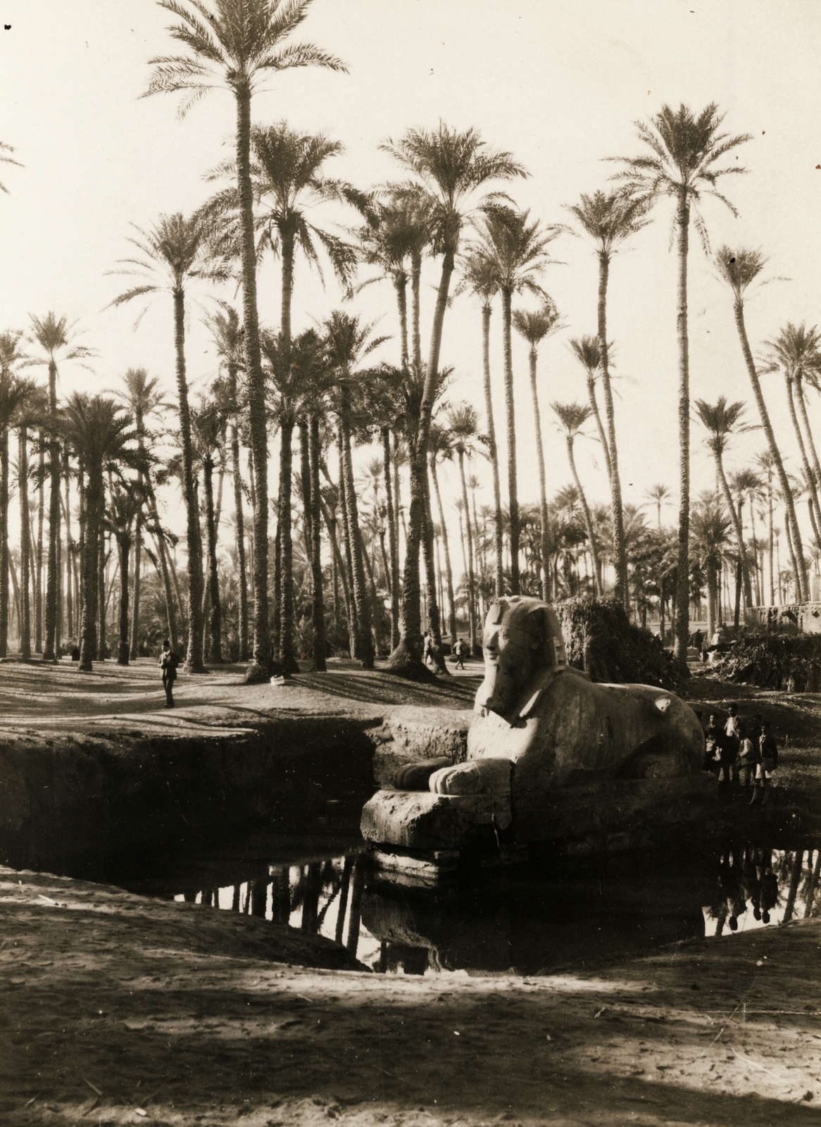 Egypt, Memphis, Alabástrom szfinx., 1921, Hanser Mária, palm tree, ancient culture, sphinx, Fortepan #120681