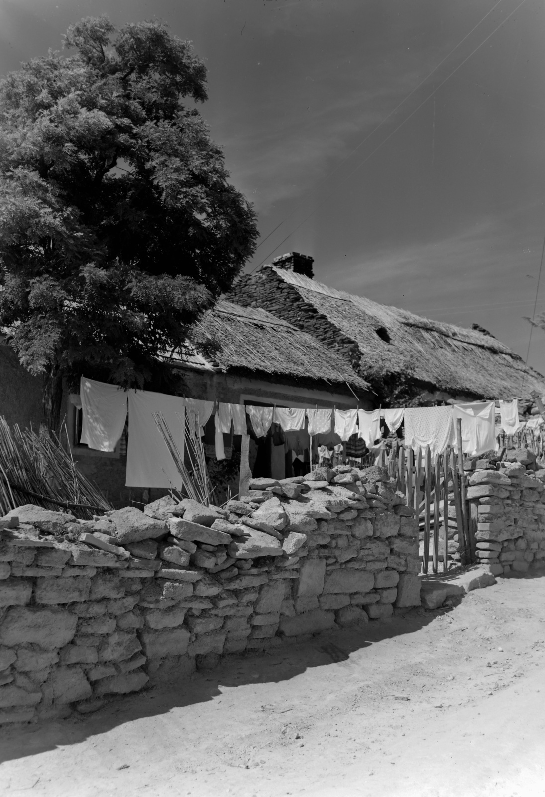 1961, Inkey Tibor, thatch roof, poverty, stone fence, poverty, hanging clothes, Fortepan #120999