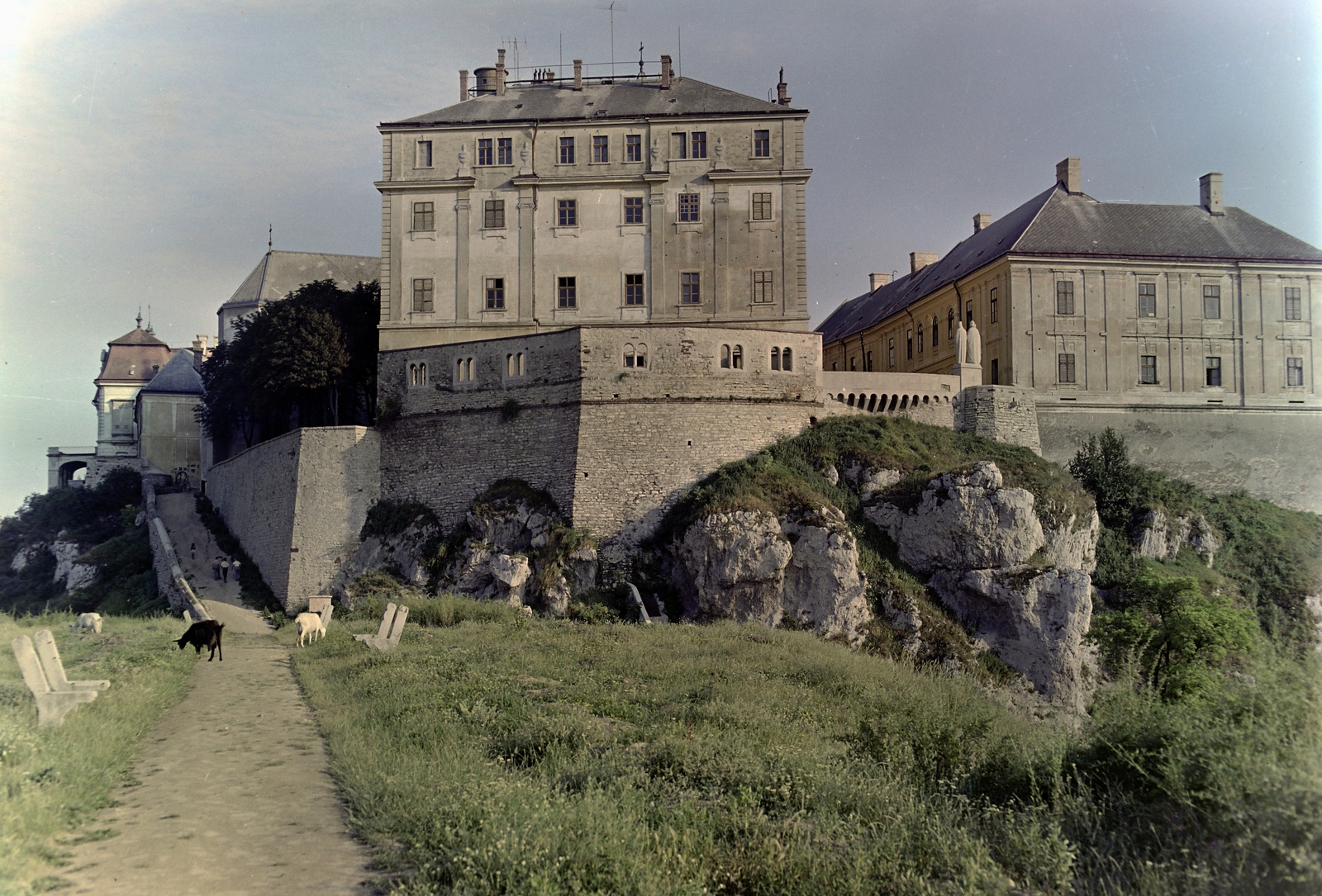 Magyarország, Veszprém, kilátás a Benedek-hegyről a Várra., 1962, Inkey Tibor, színes, kecske, Fortepan #121028