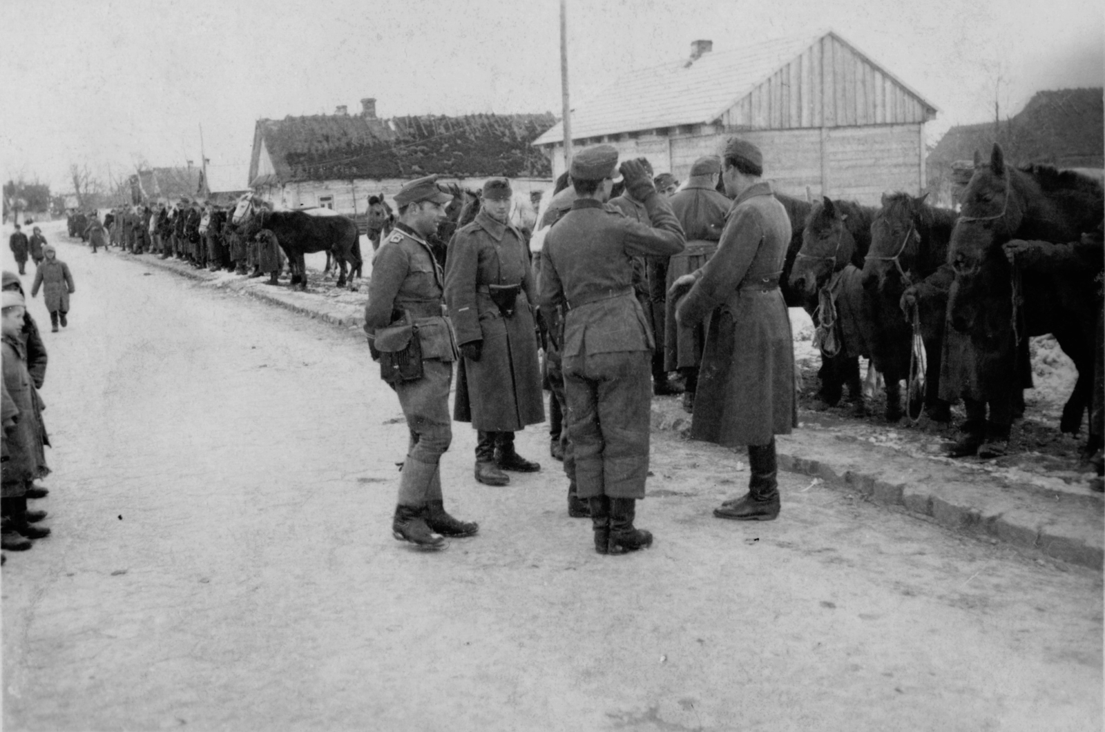 1942, Zádori Ferenc, horse, second World War, German soldier, Hungarian soldier, Fortepan #121137