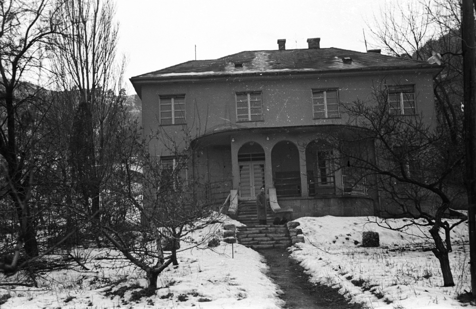 Hungary, Budapest III., Máramaros út 32-34., 1953, Hámori Gyula, Budapest, snow, house, house, hillside, Fortepan #123492