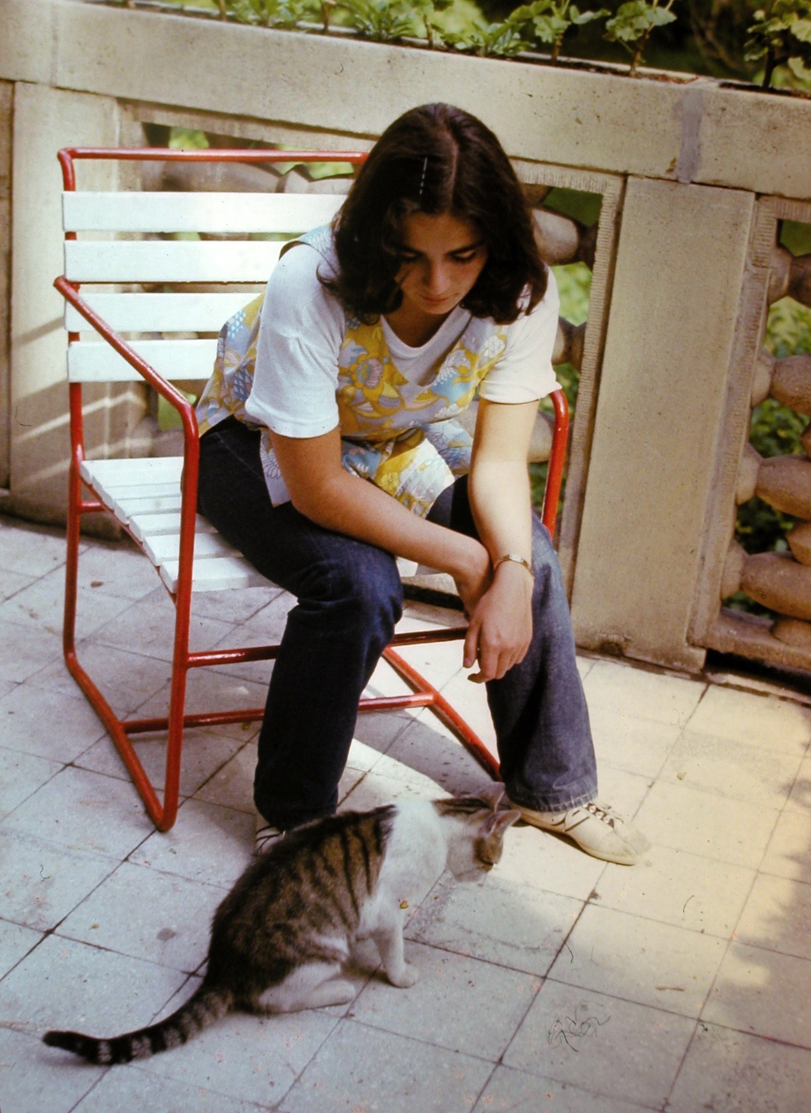 Hungary, Budapest II., Lotz Károly utca 18., 1973, G K, colorful, cat, Budapest, Fortepan #12357