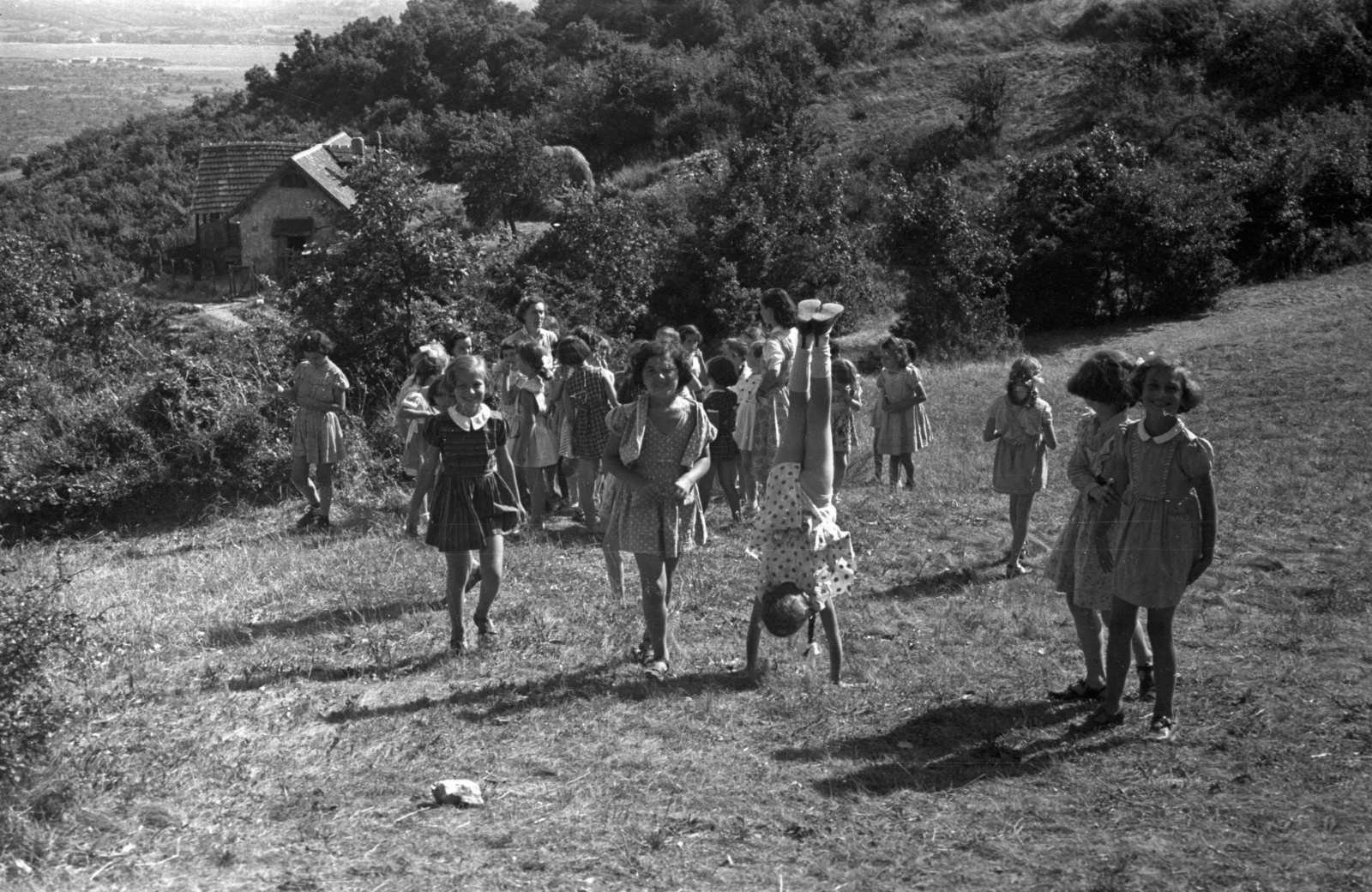 Hungary, untitled, Budapest XII., rét a Kalóz út környékén., 1954, Hámori Gyula, kids, Budapest, girls, summer dresses, handstand, Fortepan #123808