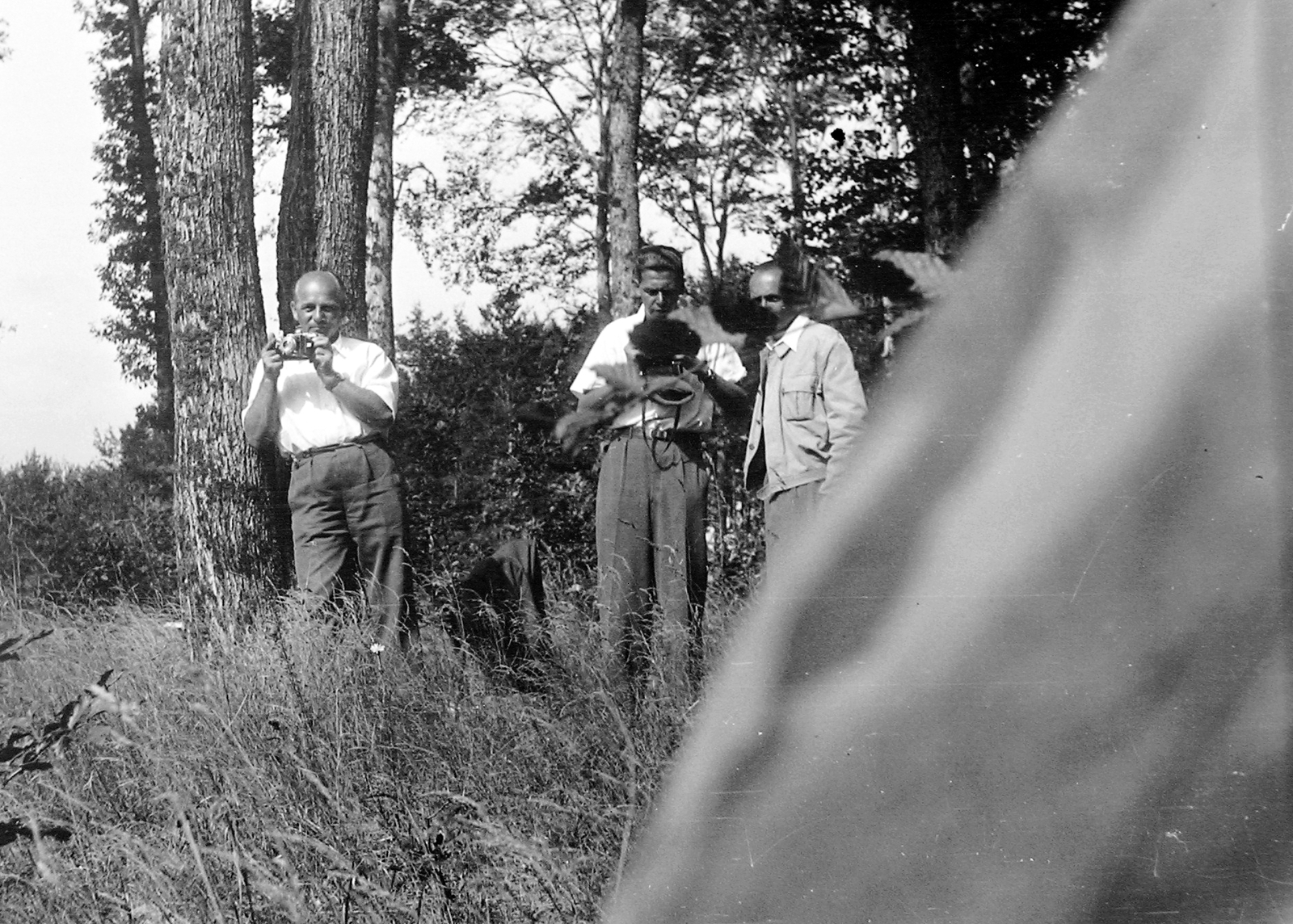 1954, Szent-tamási Mihály, tableau, men, camera, photography, Fortepan #12391