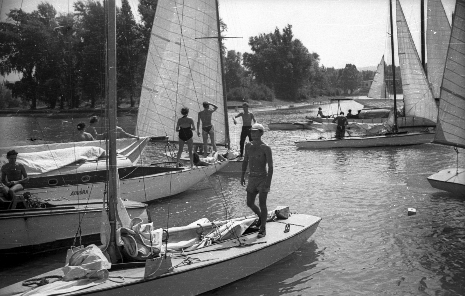 Hungary, Balatonföldvár, kikötő, szemben a Galamb sziget., 1958, Ember Károly, sailboat, Lake Balaton, Fortepan #123994