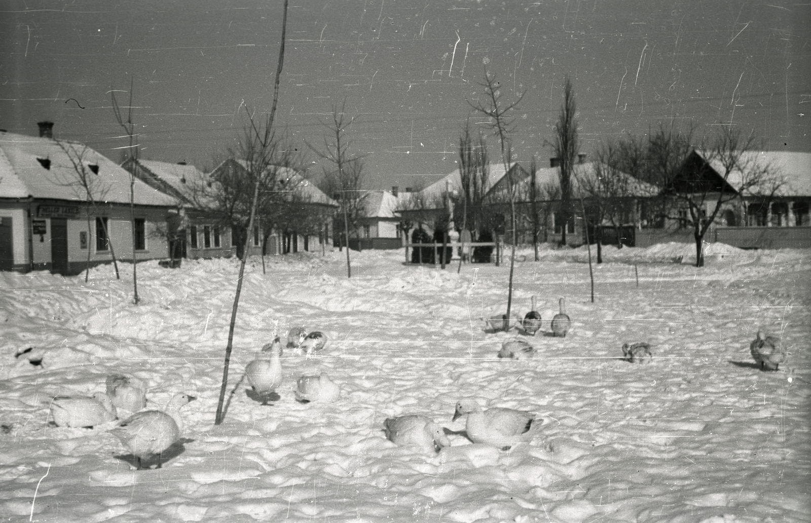 Magyarország, Jászdózsa, Szent Mihály tér., 1940, Lenkey Márton, falu, tél, hó, liba, Fortepan #124048