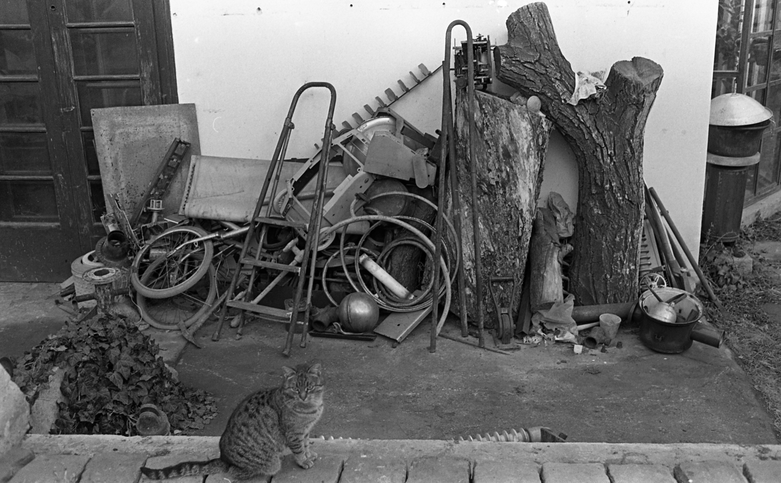 Hungary, Szentendre, Lois Viktor autodidakta szobrász alkotásaihoz felhasznált fémhulladékok., 1980, Urbán Tamás, cat, ladder, bicycle parts, Fortepan #124333