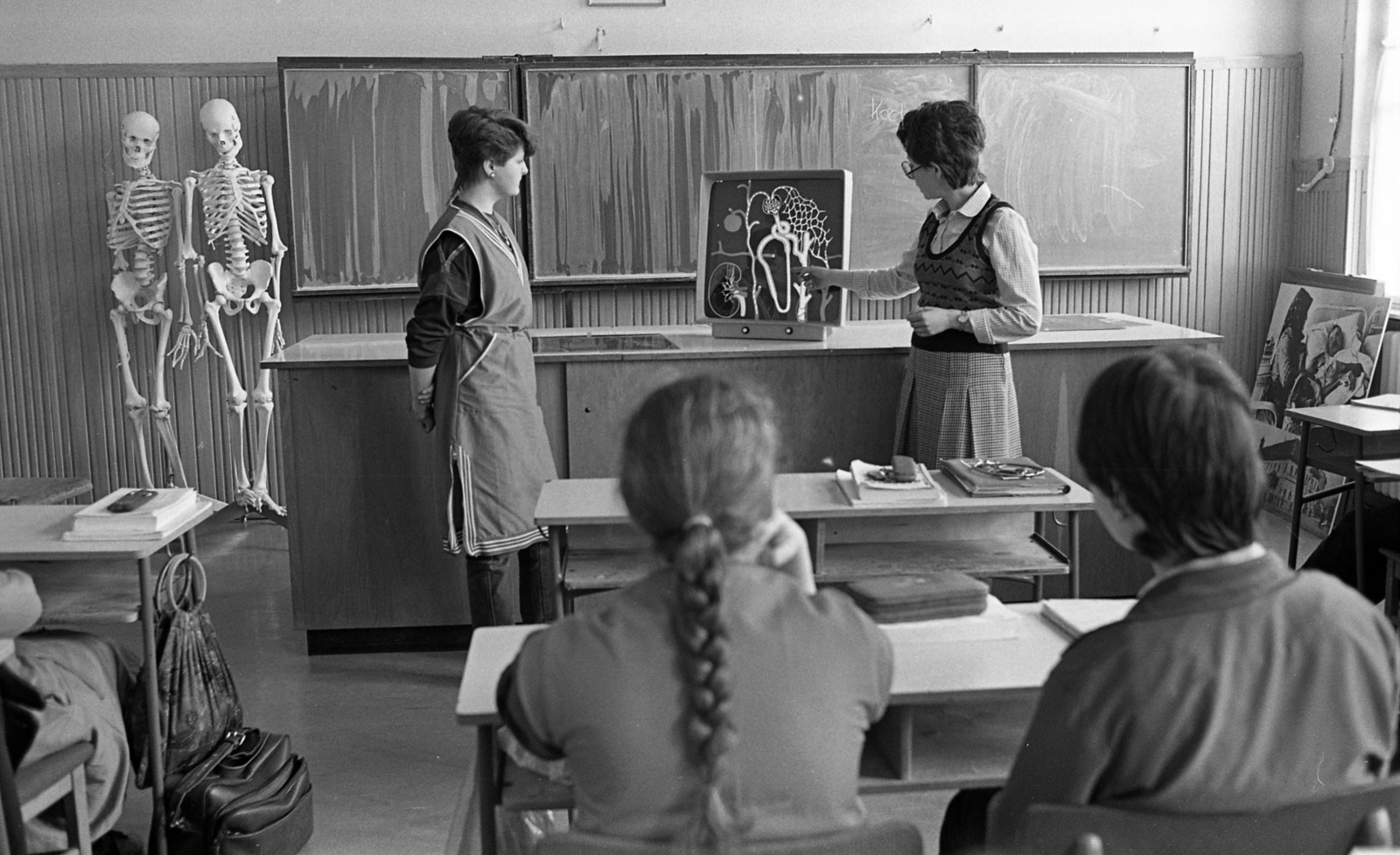 Hungary, Budapest V., Budapest V. Markó utca 29-31., Kossuth Zsuzsa Egészségügyi Szakközépiskola., 1984, Urbán Tamás, school class portrait, skeleton, teacher, learning, wainscot, board, Budapest, tress, hands behind the back, pencil case, Fortepan #124347