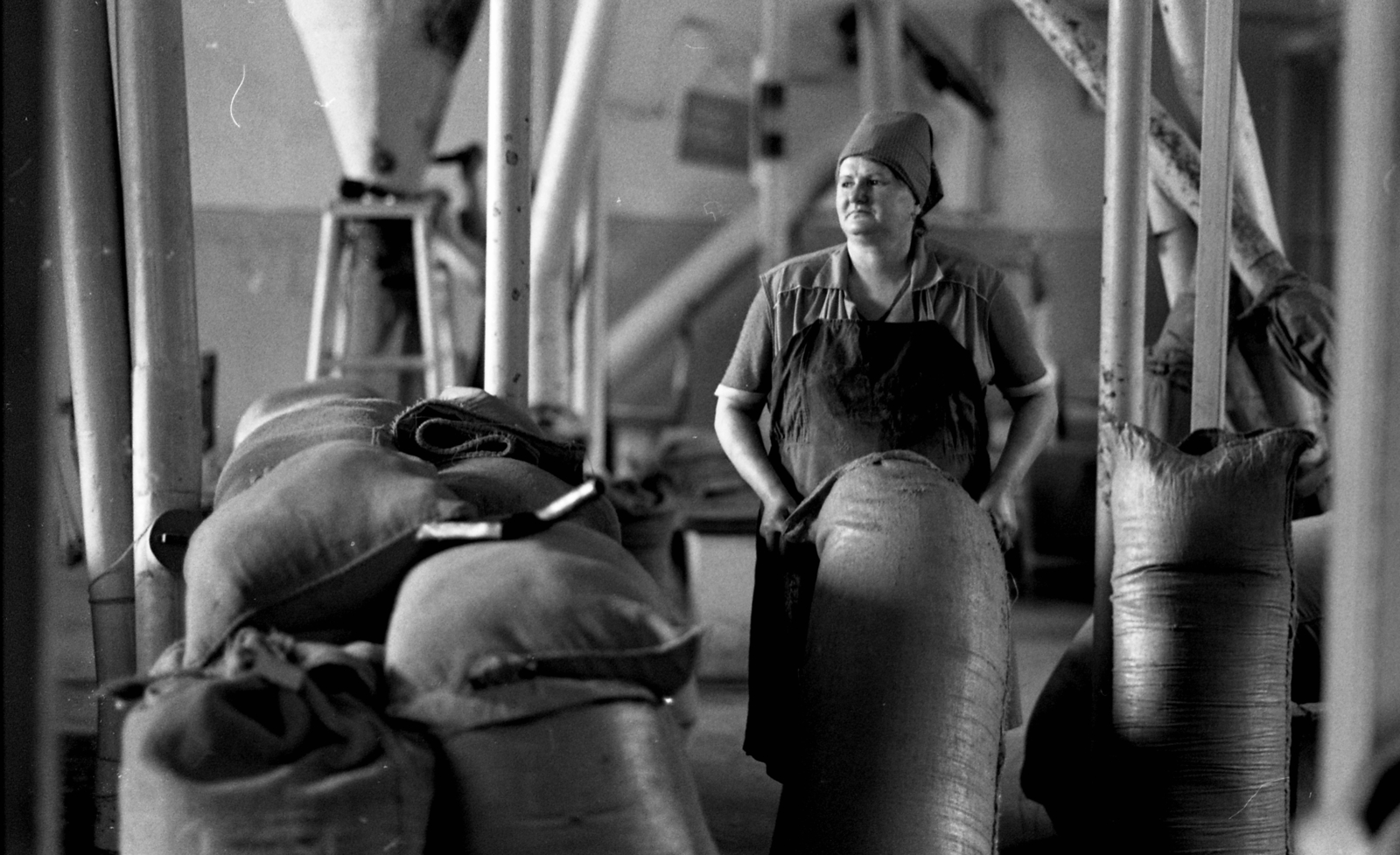 1980, Urbán Tamás, Fortepan #124591