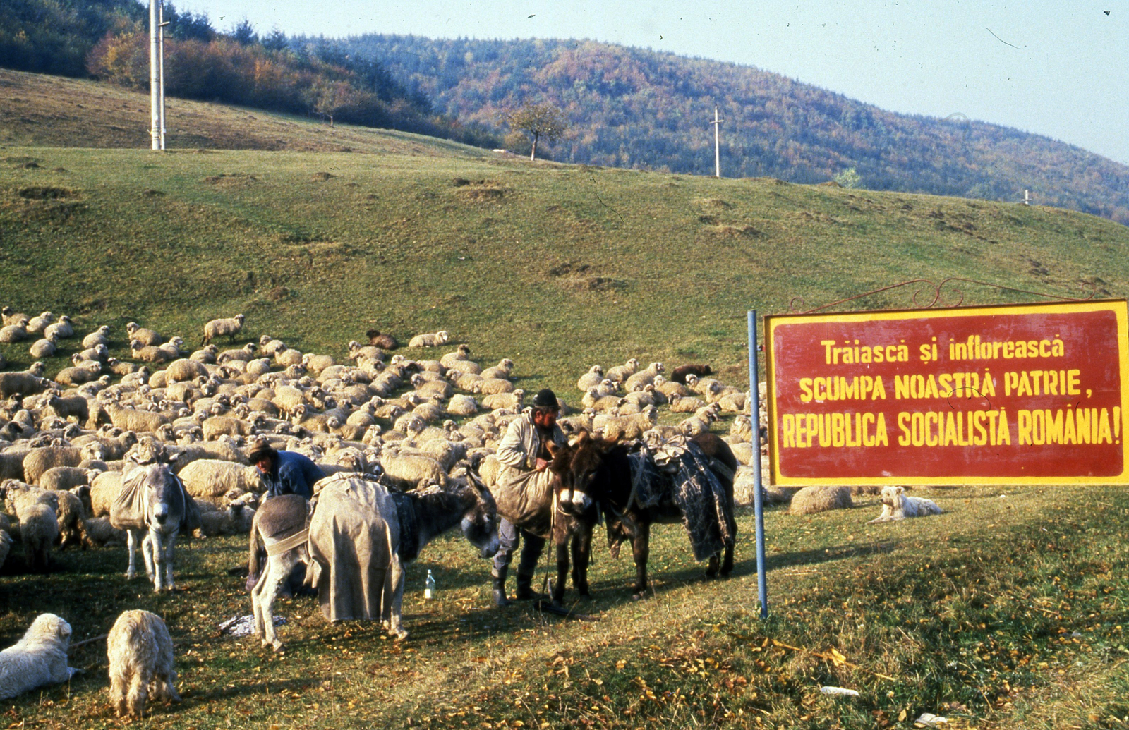 Romania, 1988, Urbán Tamás, colorful, Fortepan #124792