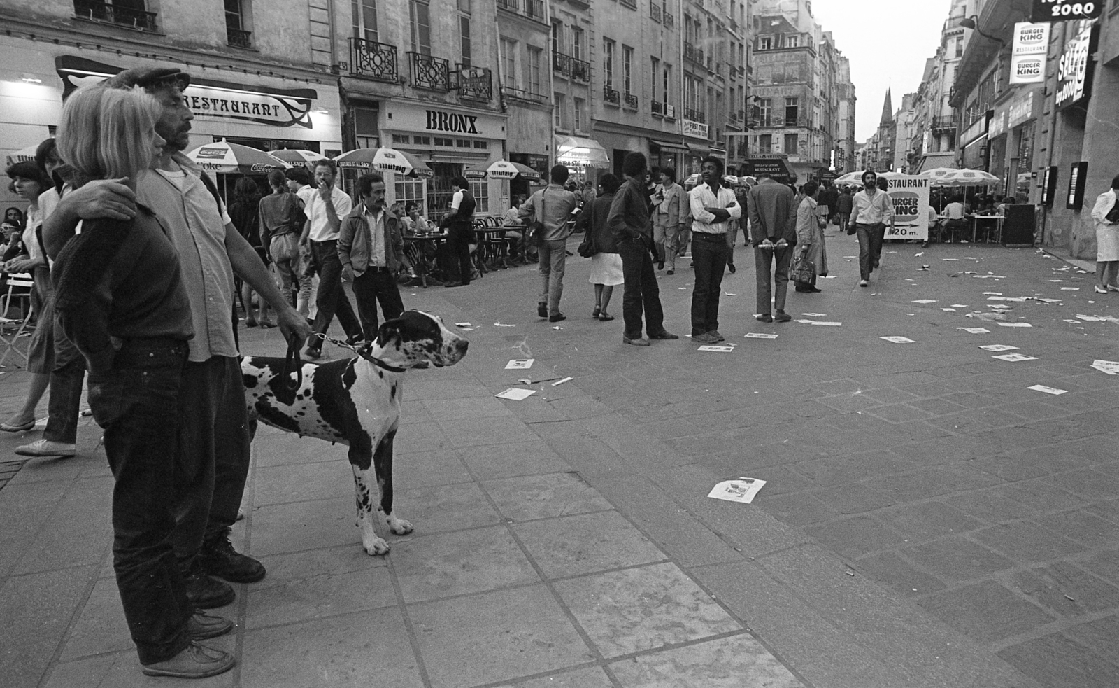 1982, Urbán Tamás, walking the dog, Fortepan #124950