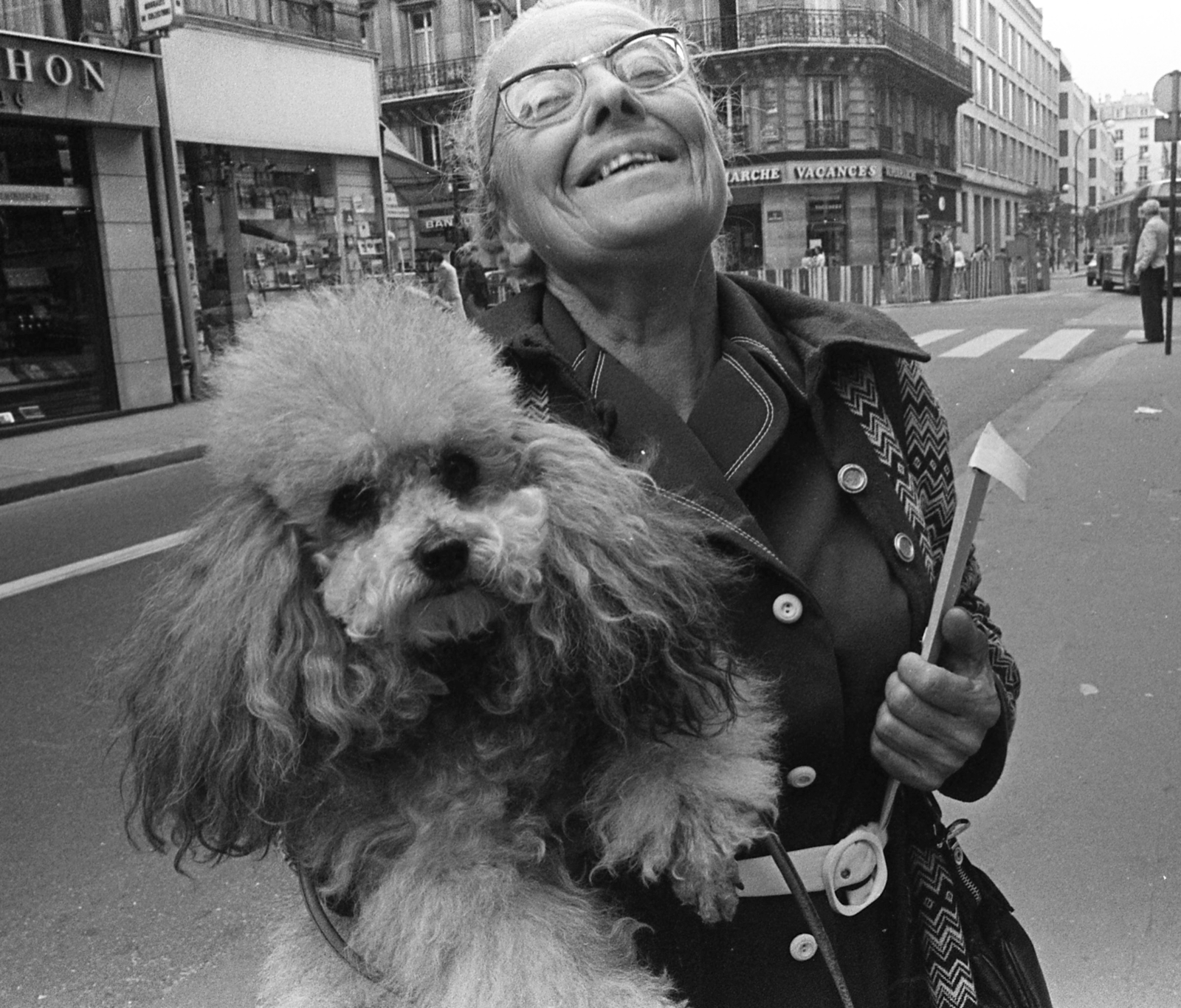 1982, Urbán Tamás, dog, poodle, Fortepan #124966