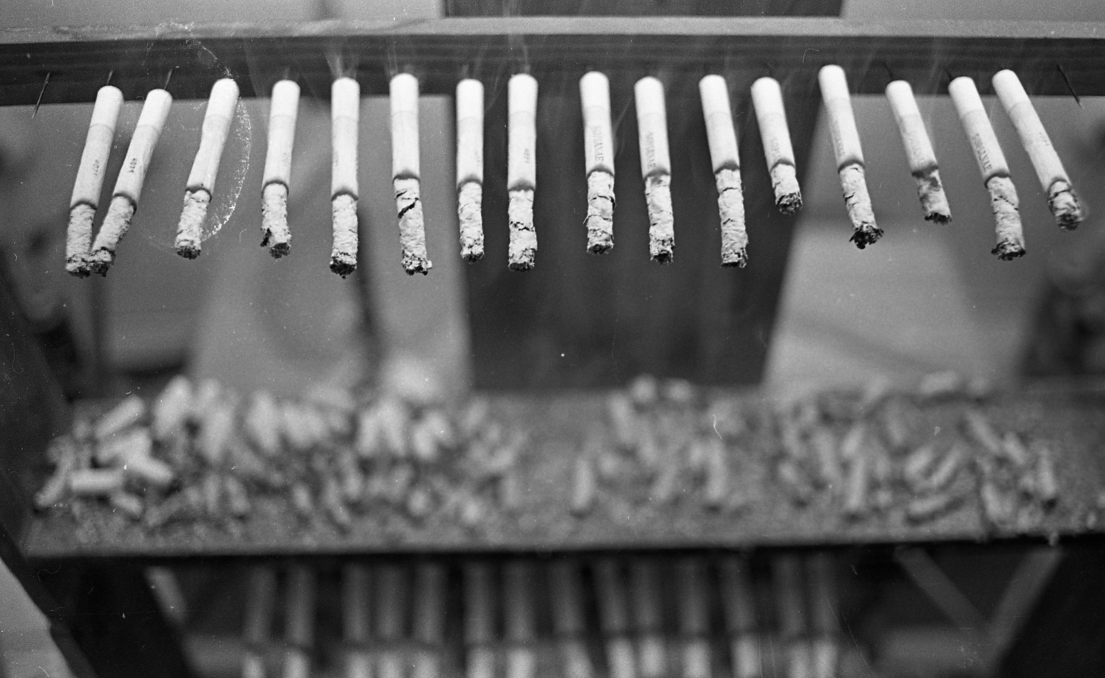 Hungary, Pécs, Pécsi Dohánygyár, cigaretta égési idő teszt., 1980, Urbán Tamás, cigarette, tobacco factory, ash, Fortepan #125019