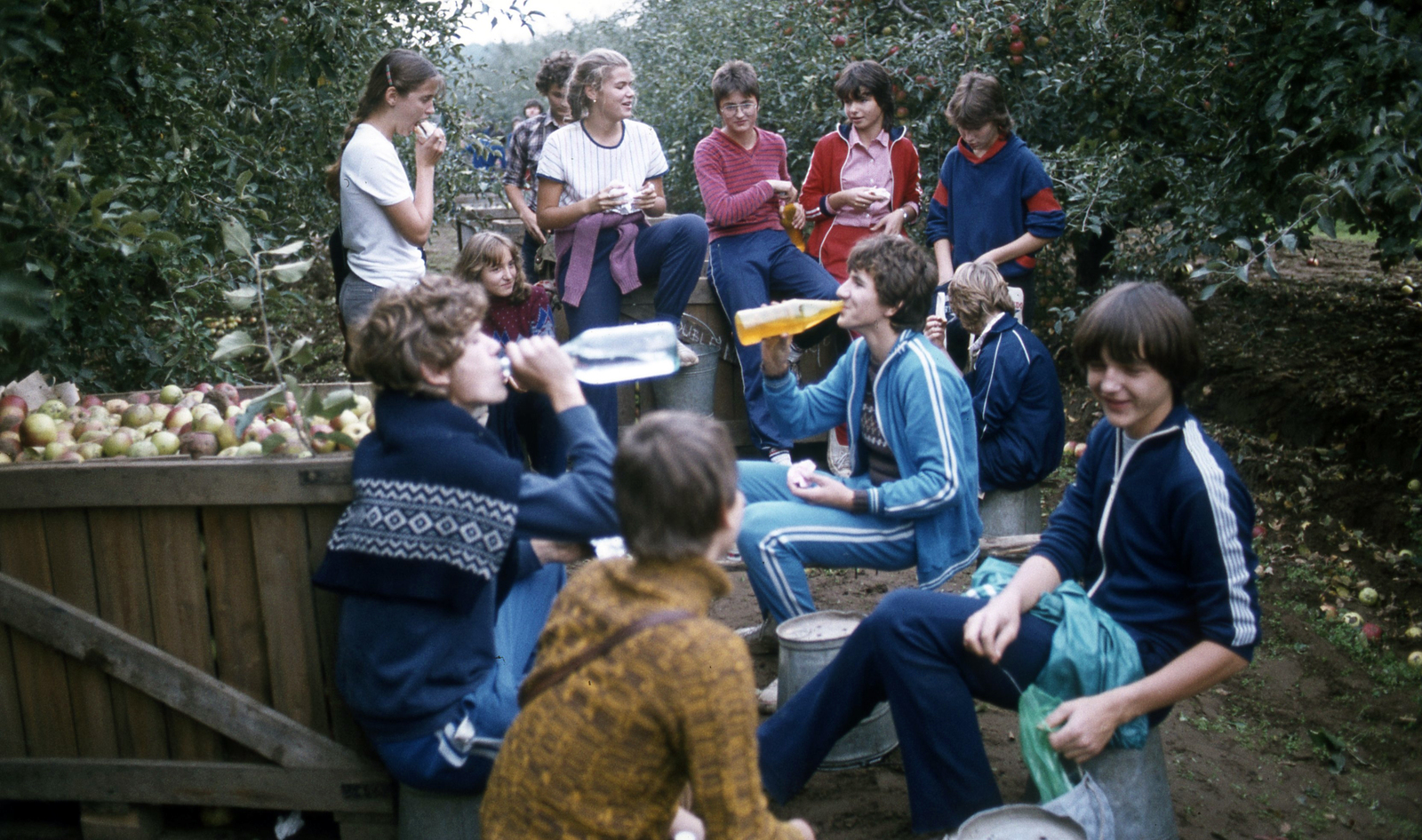 Hungary, Nyírlugos, diákok almaszüreten a Nyírlugosi Állami Gazdaságban., 1985, Urbán Tamás, colorful, Fortepan #125141