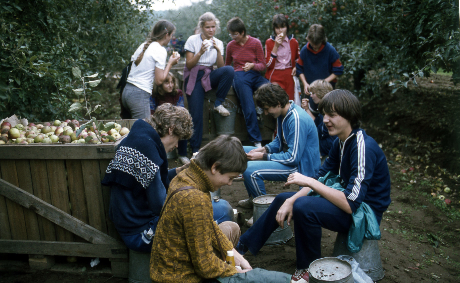 Hungary, Nyírlugos, diákok almaszüreten a Nyírlugosi Állami Gazdaságban., 1985, Urbán Tamás, colorful, Fortepan #125142