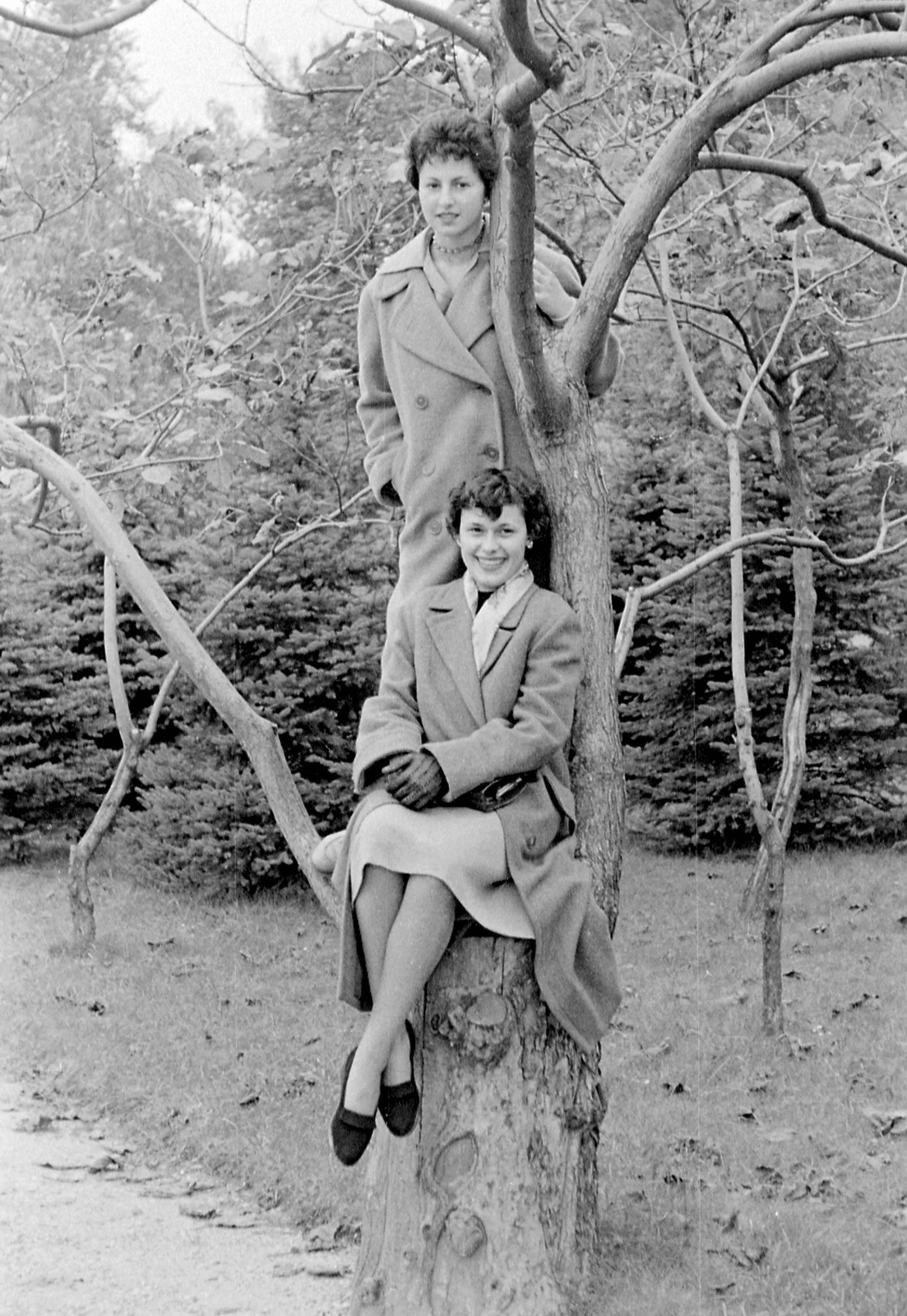 1957, Szent-tamási Mihály, women, double portrait, sitting on a tree, Fortepan #12531