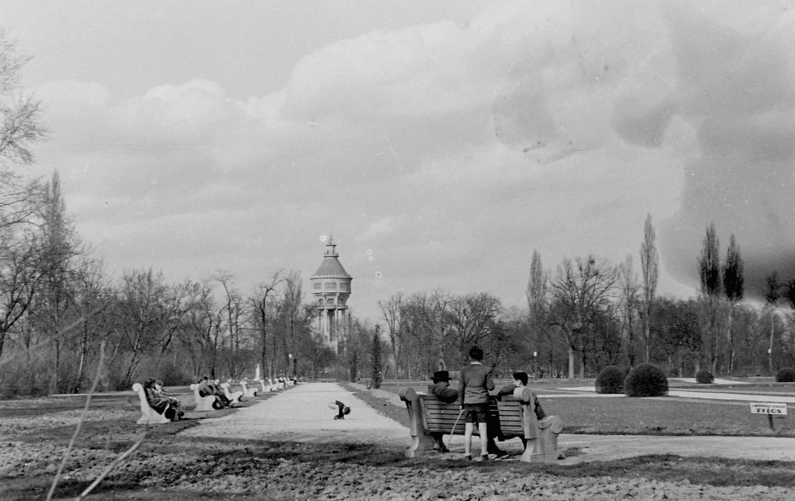 Hungary, Margit Islands, Budapest, Rózsakert, háttérben a Víztorony., 1955, Szent-tamási Mihály, Secession, water tower, Art Nouveau architecture, Rezső Vilmos Ray-design, Szilárd Zielinski-design, Fortepan #12543