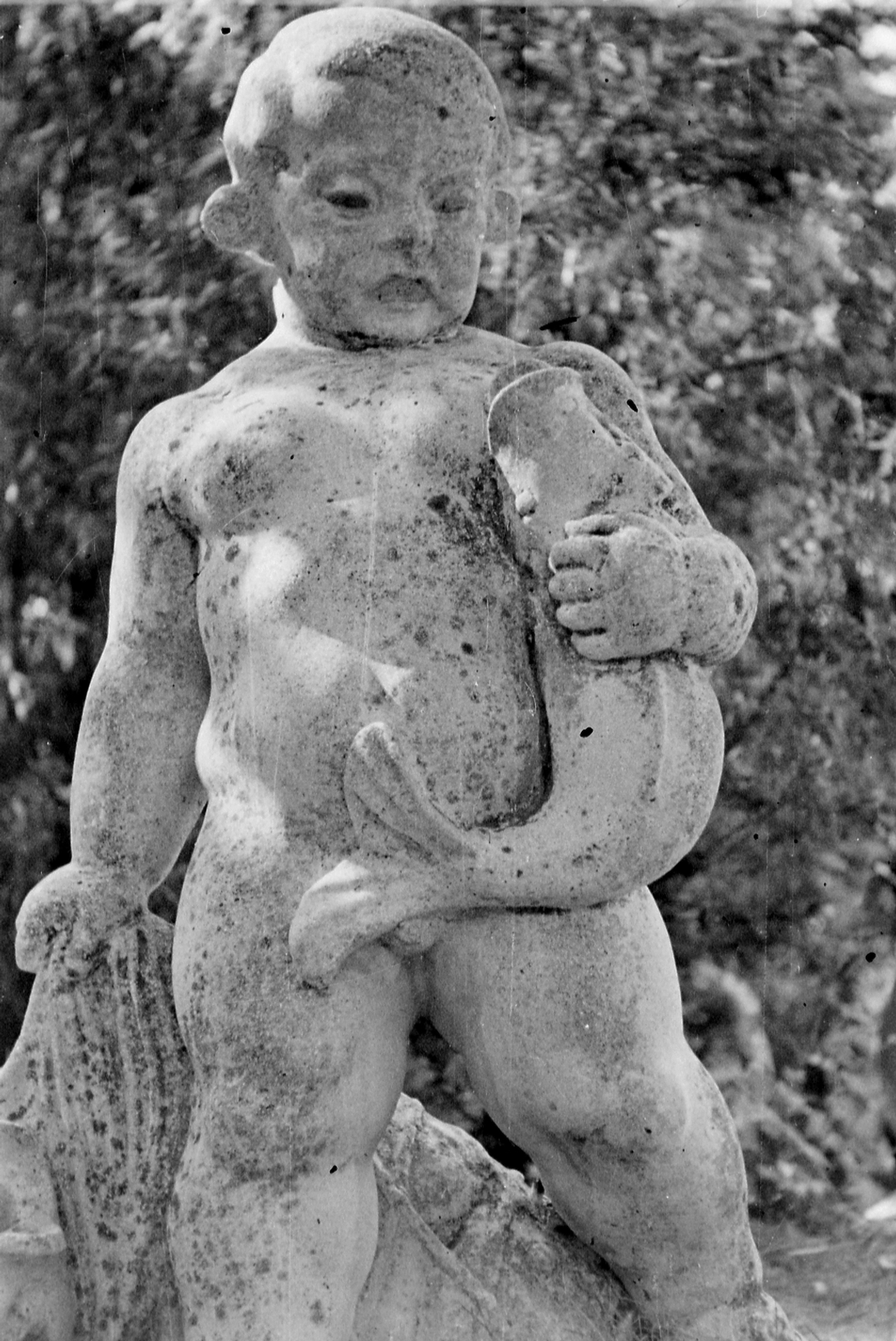 Hungary, Budapest III., Pünkösdfürdői strand, Puttó halakkal című szobor., 1950, Szent-tamási Mihály, sculpture, Budapest, Fortepan #12553